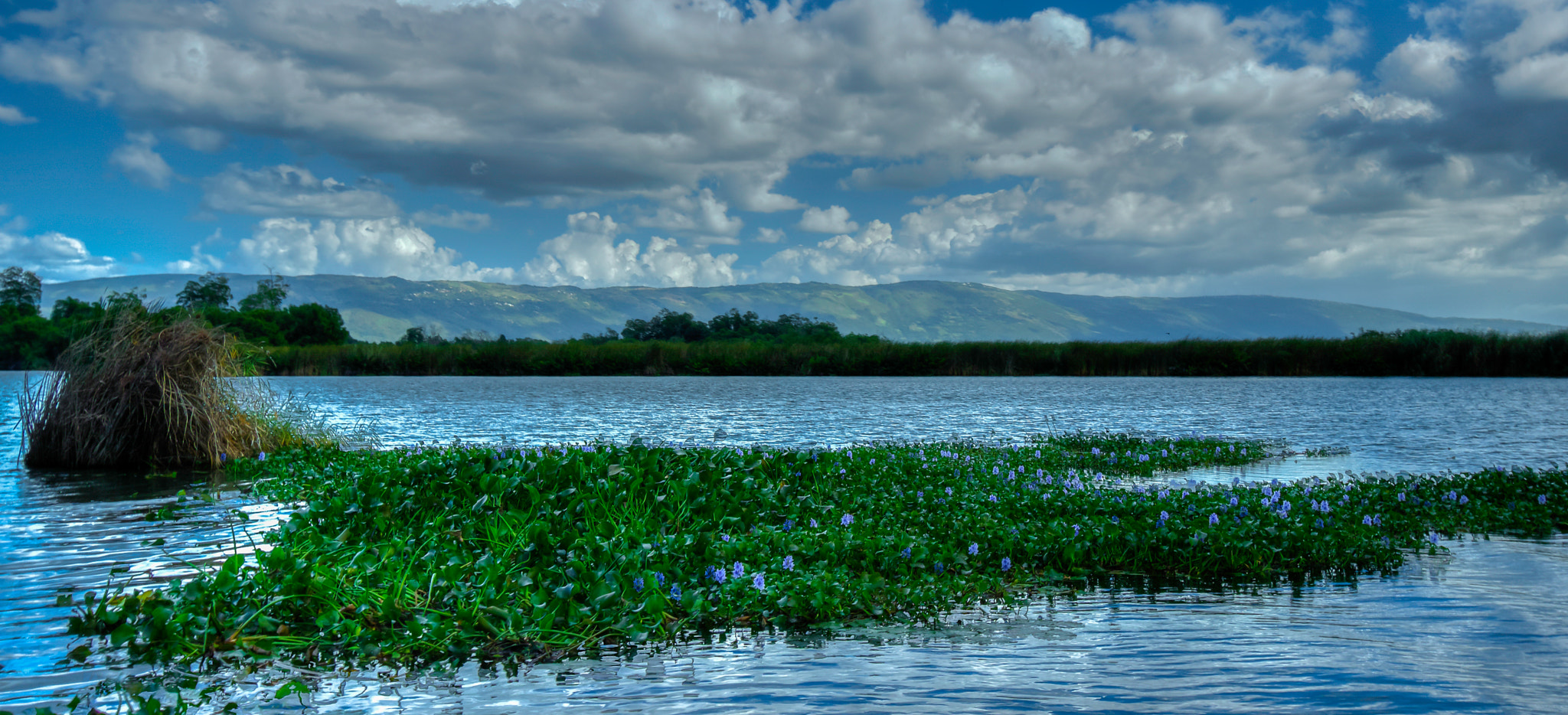 Canon EF-S 10-22mm F3.5-4.5 USM sample photo. Black river, jamaica photography