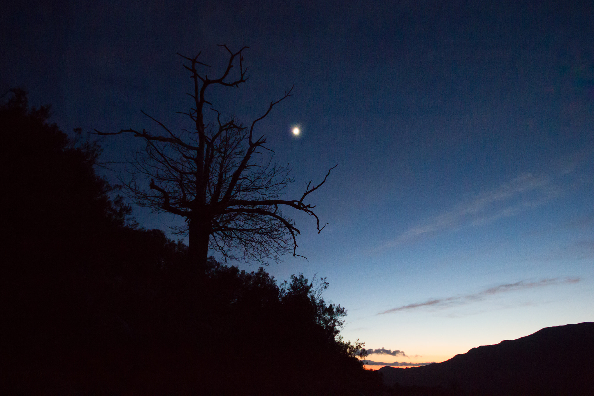 Sigma 10-20mm F4-5.6 EX DC HSM sample photo. No. 44557 photography