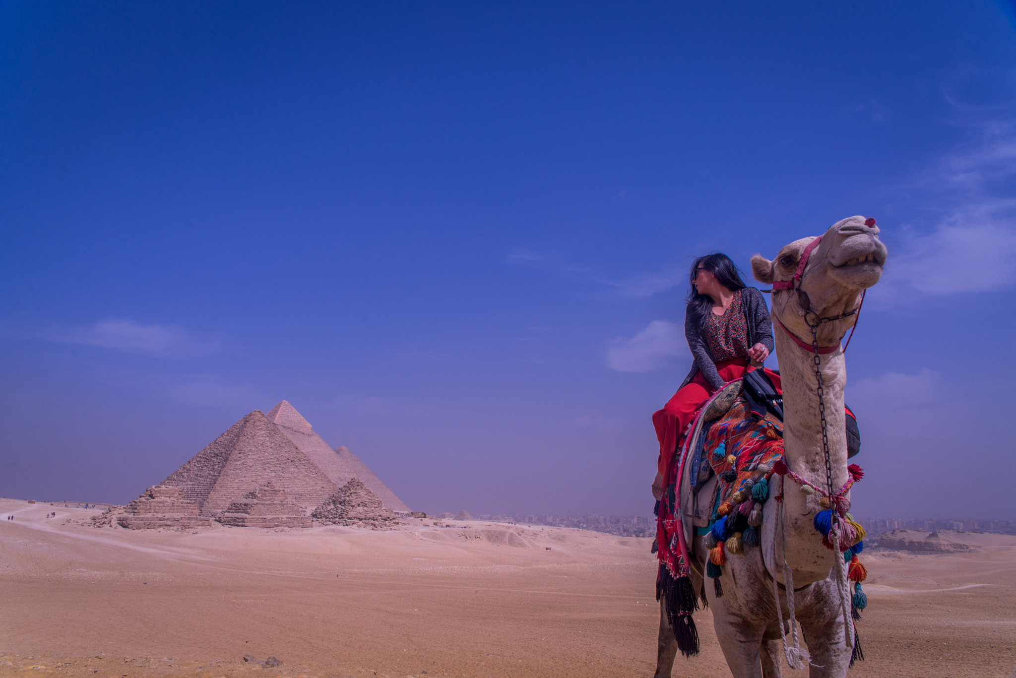 Nikon D600 + Sigma 24-70mm F2.8 EX DG HSM sample photo. Camel ride at the pyramdis - cairo eg photography