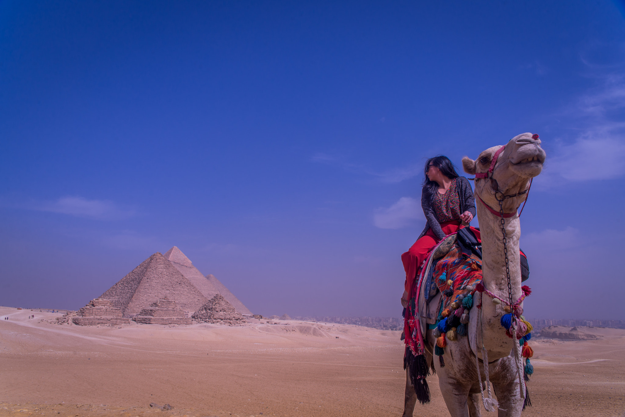 Sigma 24-70mm F2.8 EX DG HSM sample photo. Camel ride at the pyramdis - cairo eg photography
