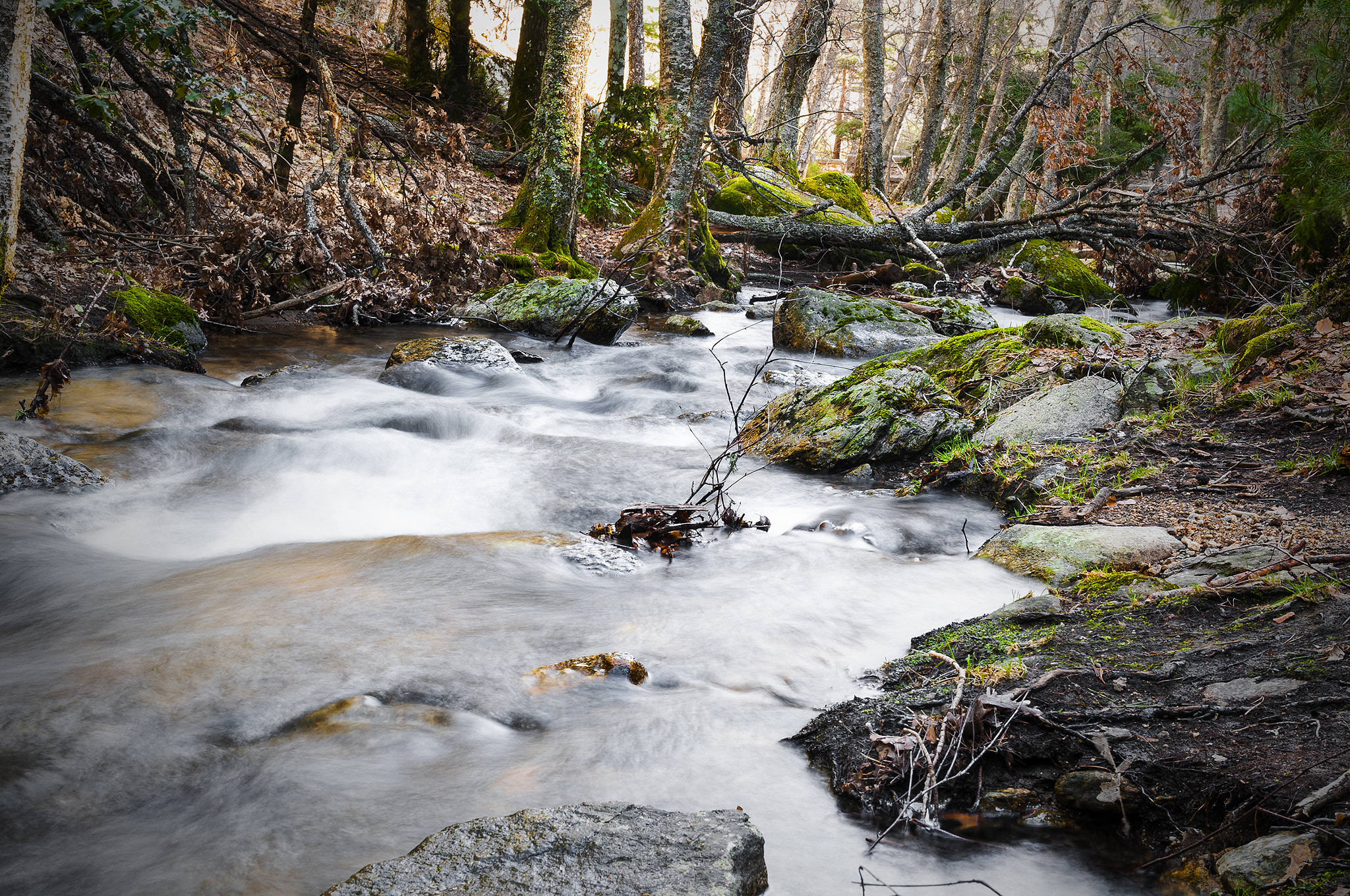 Sigma 17-50mm F2.8 EX DC OS HSM sample photo. Rio21212 photography
