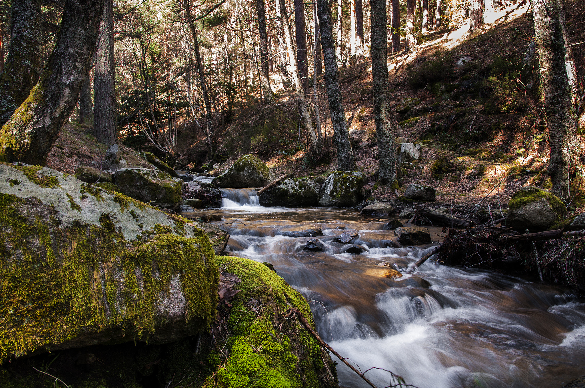 Sigma 17-50mm F2.8 EX DC OS HSM sample photo. Rio212232 photography