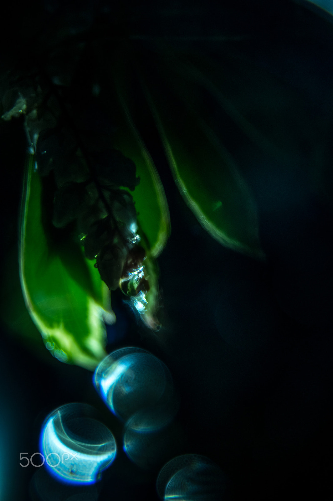 Sigma AF 10-20mm F4-5.6 EX DC sample photo. Rainy night photography