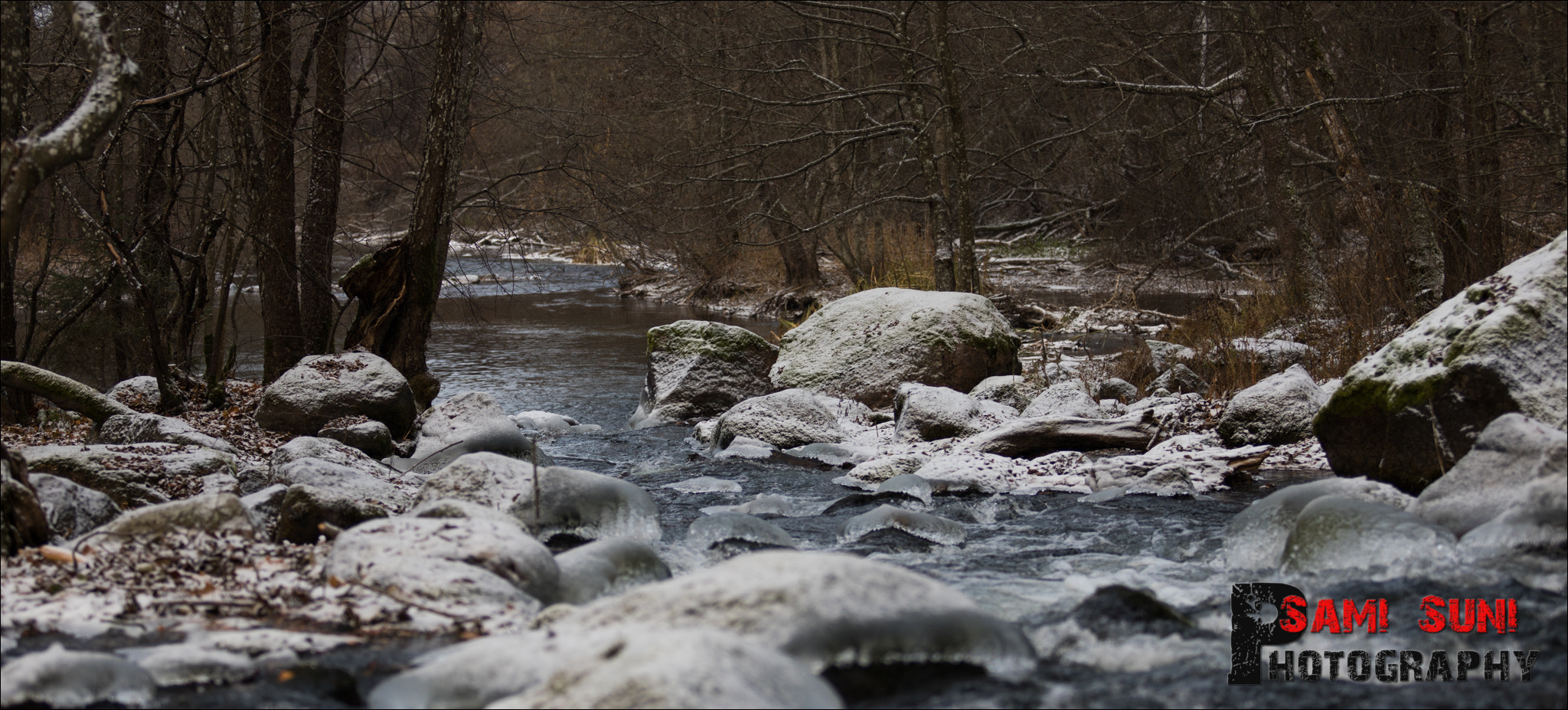 Canon EF 70-200mm F2.8L USM sample photo. Ga photography
