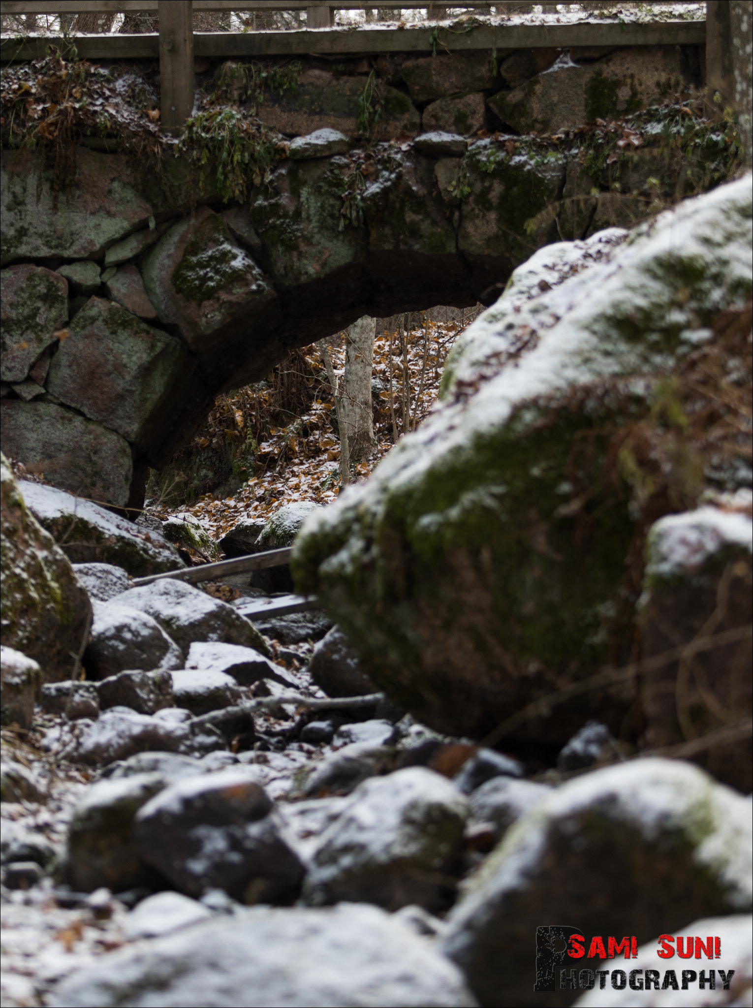 Canon EF 70-200mm F2.8L USM sample photo. Ga photography