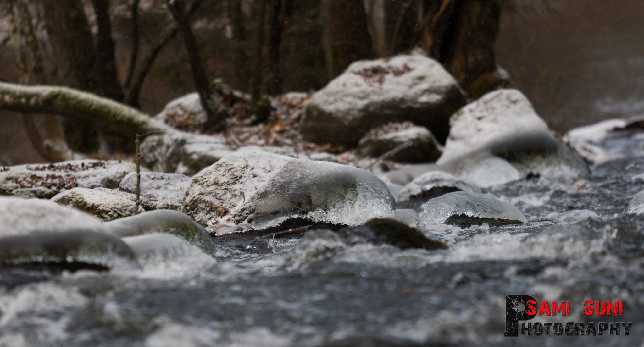 Canon EF 70-200mm F2.8L USM sample photo. Ga photography