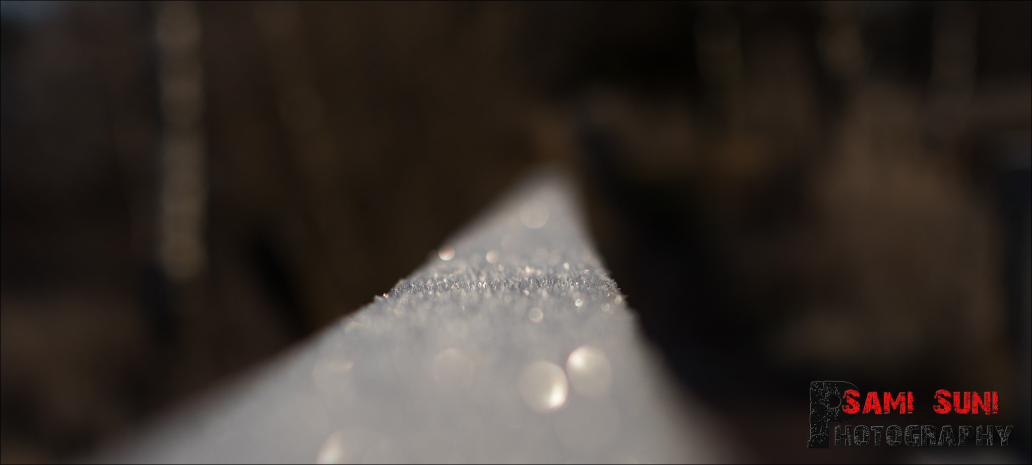 Canon EF 50mm F1.2L USM sample photo. Ga photography