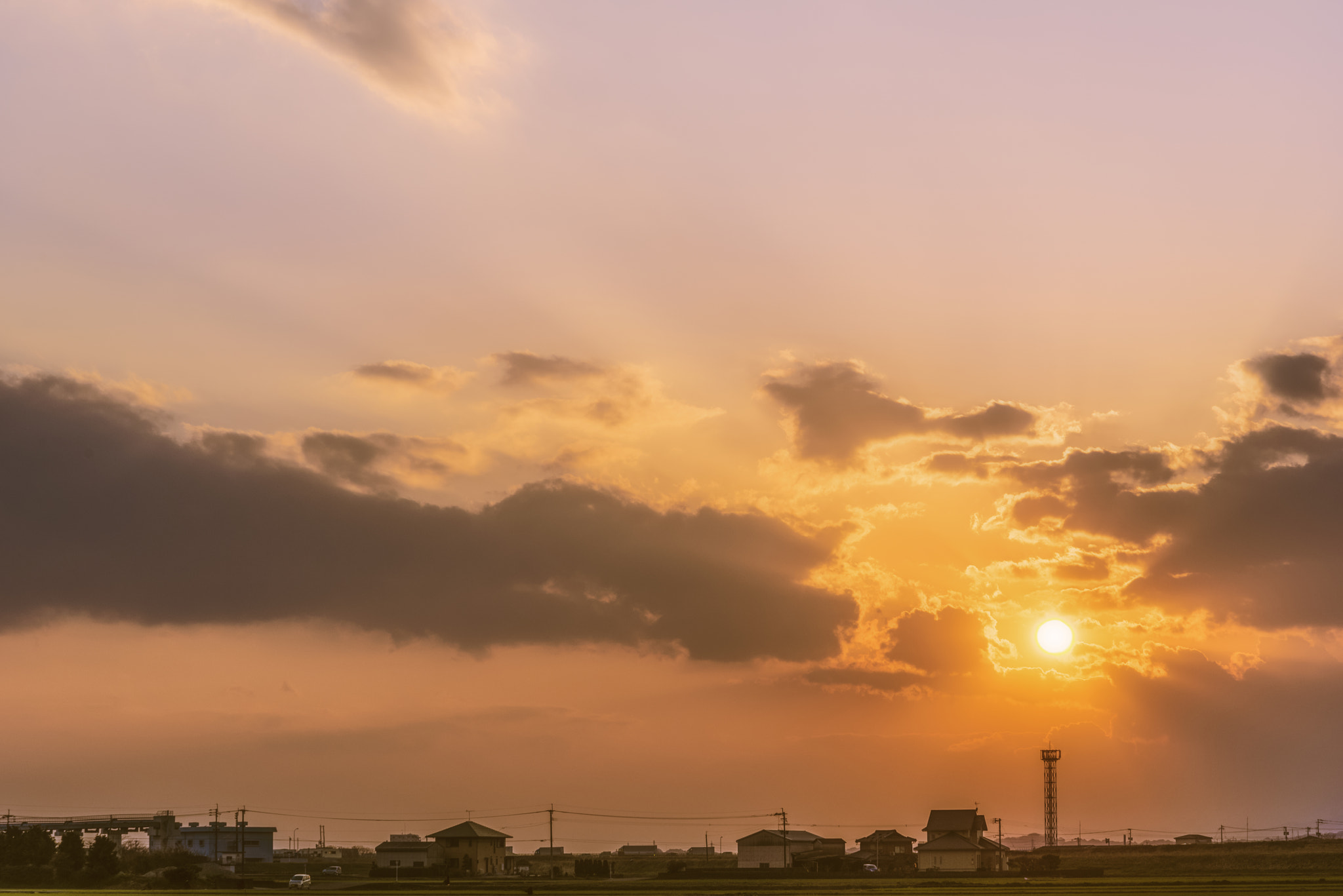 Nikon D810 sample photo. Always with you photography