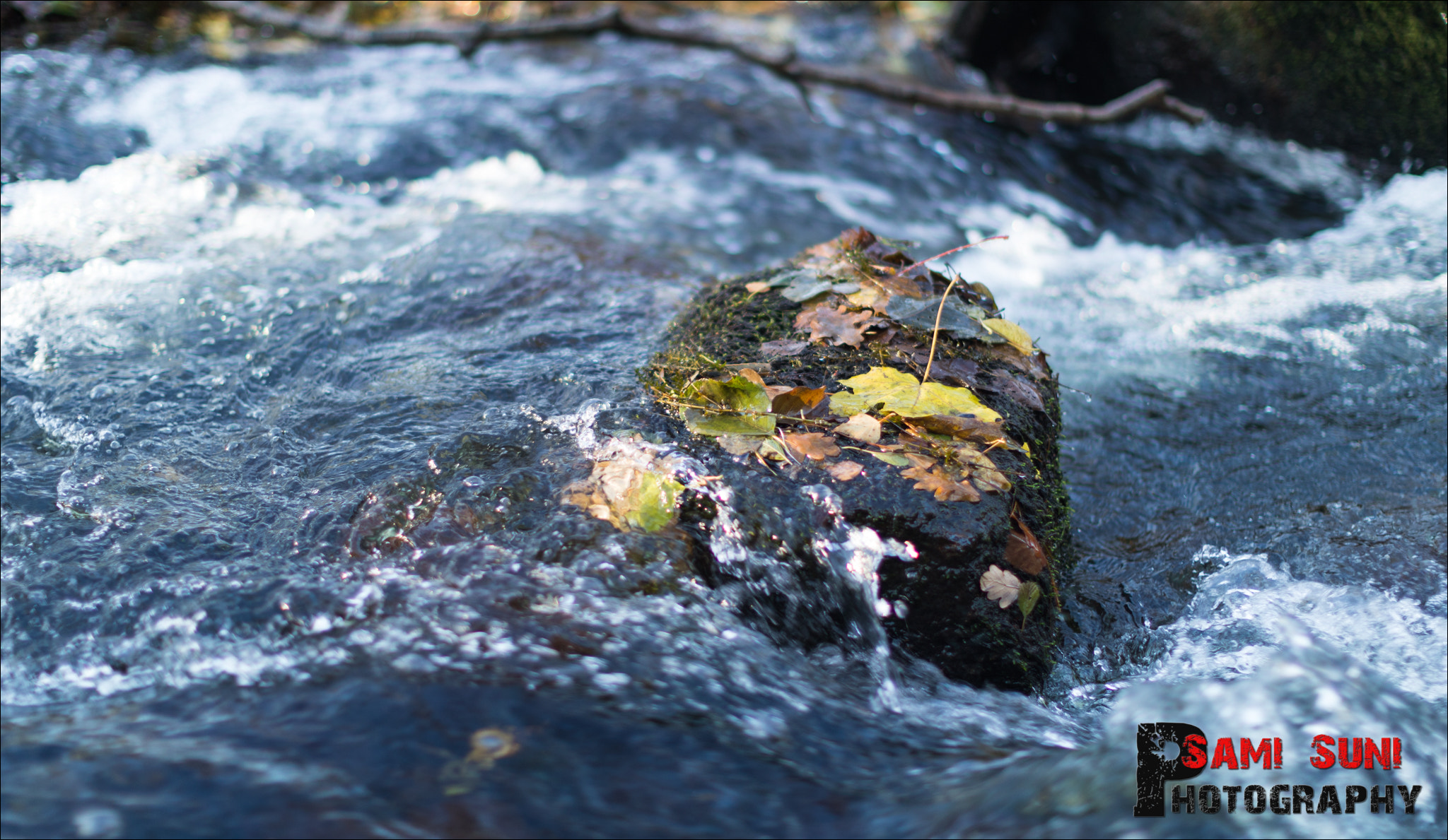 Canon EF 50mm F1.2L USM sample photo. Ga photography
