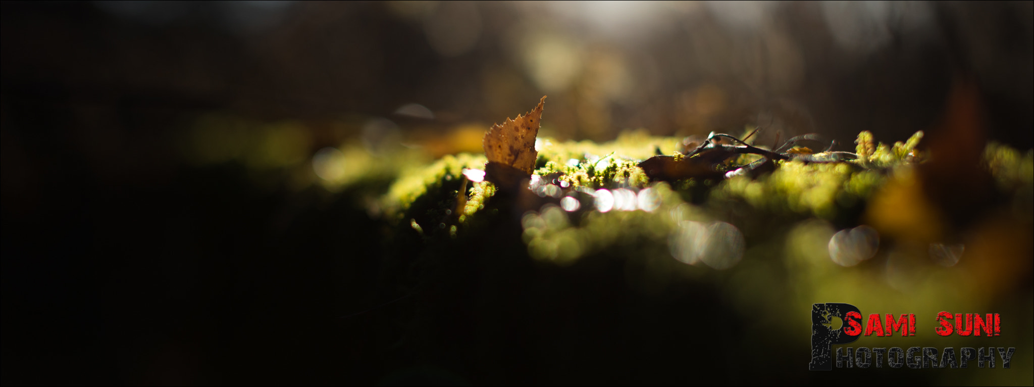 Canon EF 50mm F1.2L USM sample photo. Ga photography