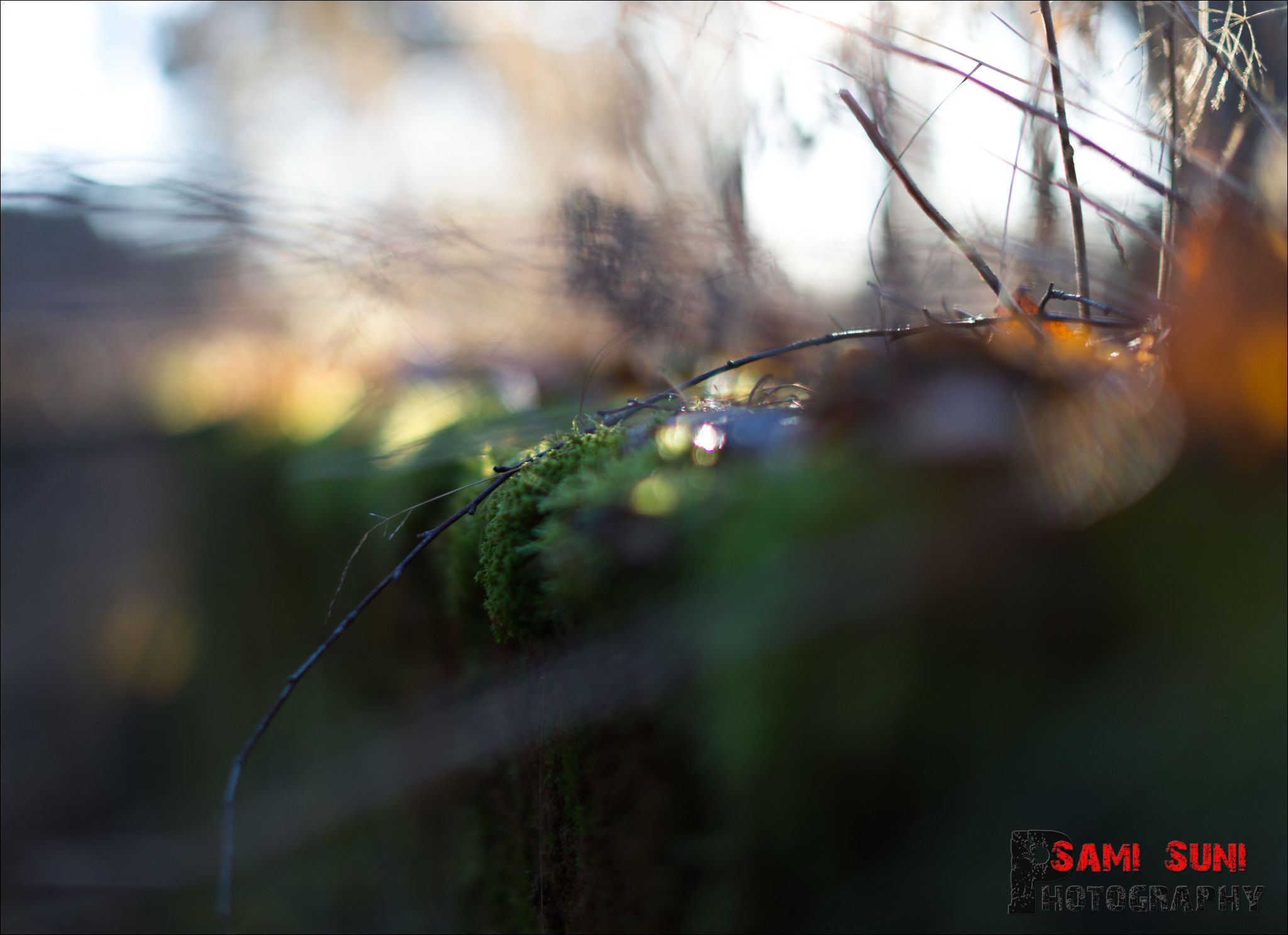 Canon EF 50mm F1.2L USM sample photo. Ga photography