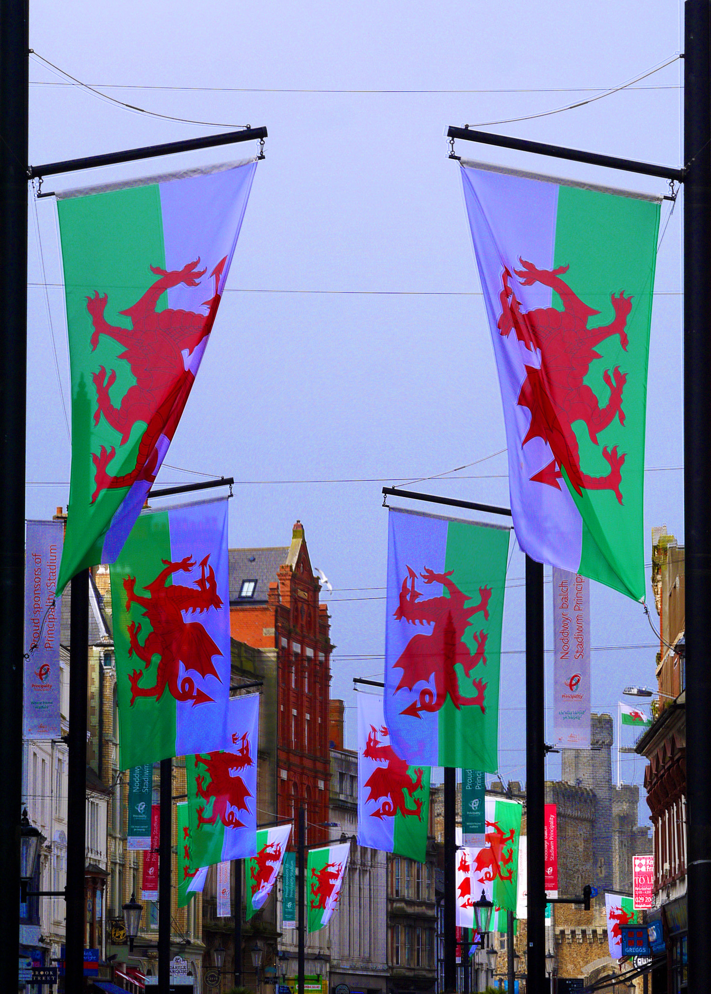 Panasonic Lumix DMC-GF5 sample photo. Flags out for the six nations championship photography