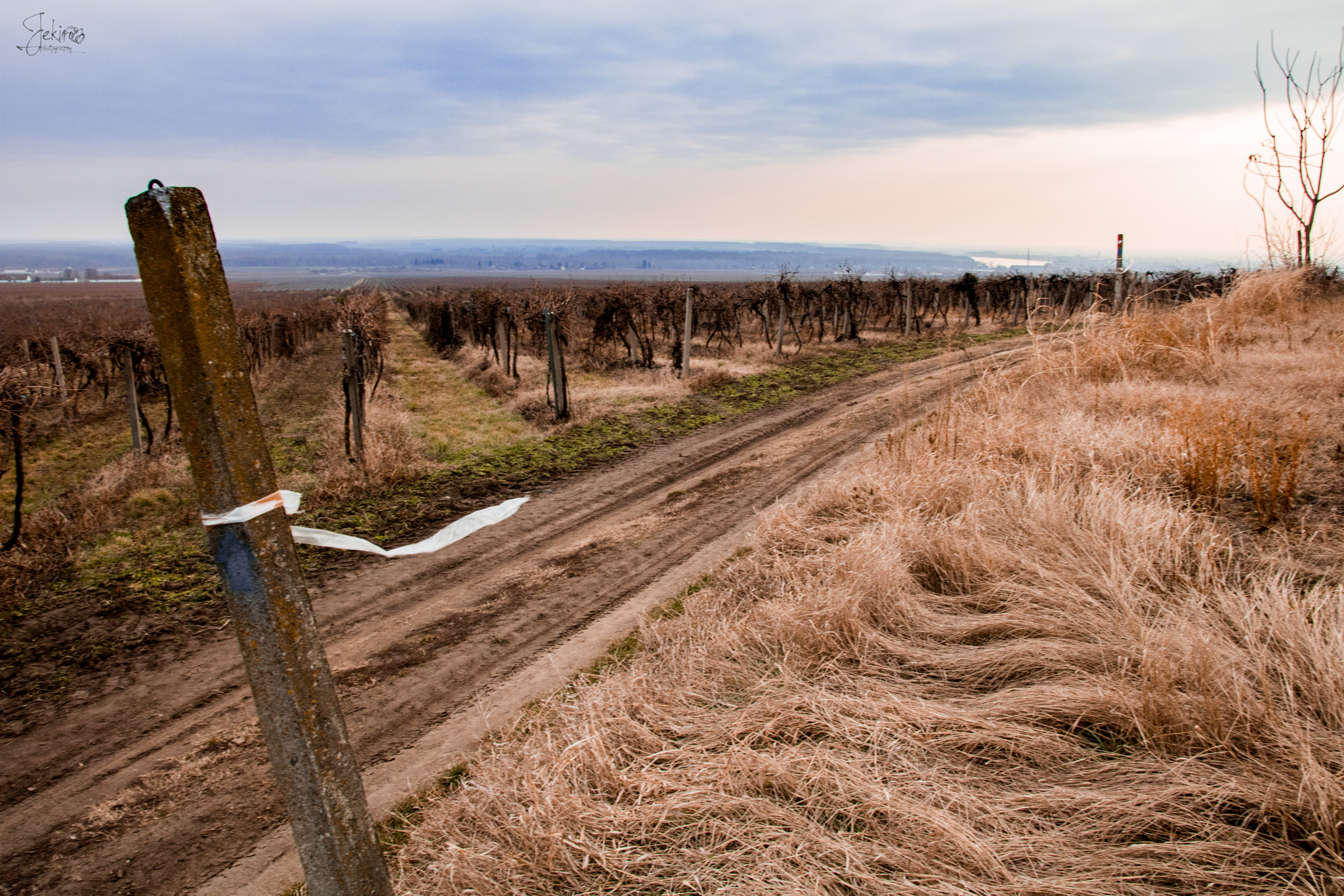 Canon EOS 750D (EOS Rebel T6i / EOS Kiss X8i) sample photo. Windy field photography