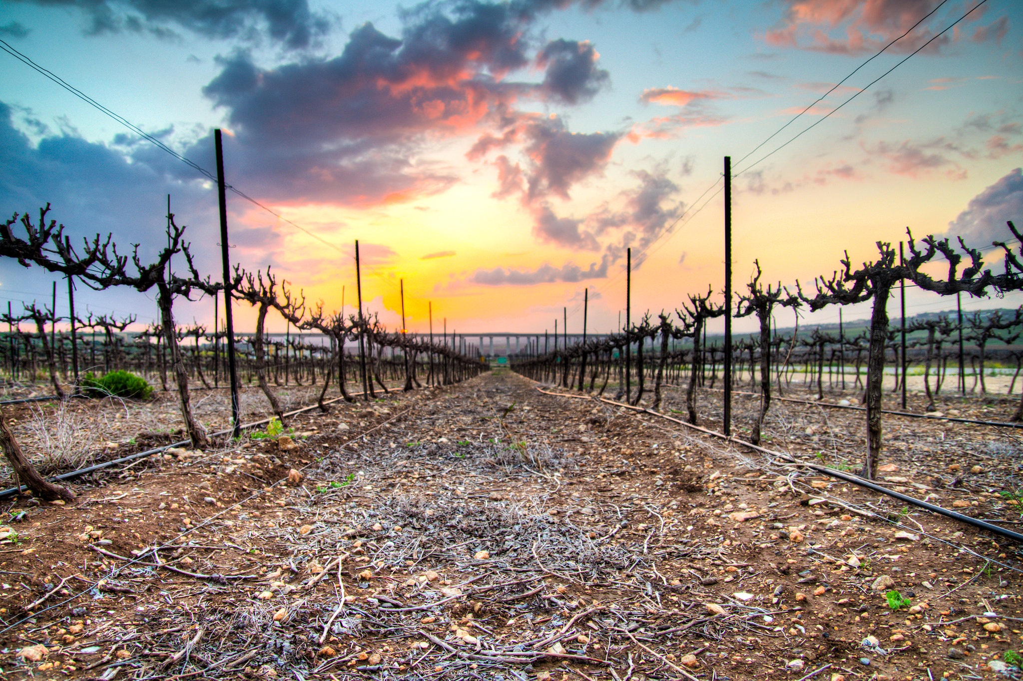 Canon EOS 60D + Tamron SP AF 17-50mm F2.8 XR Di II LD Aspherical (IF) sample photo. Rows of vines in the valley photography