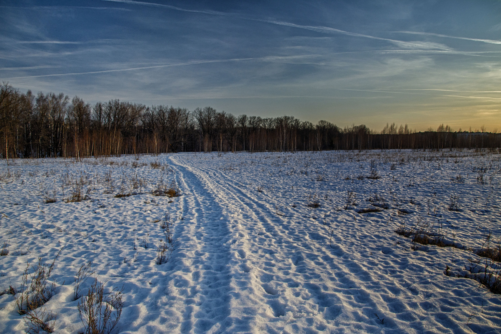 Nikon D5200 sample photo. March snow photography