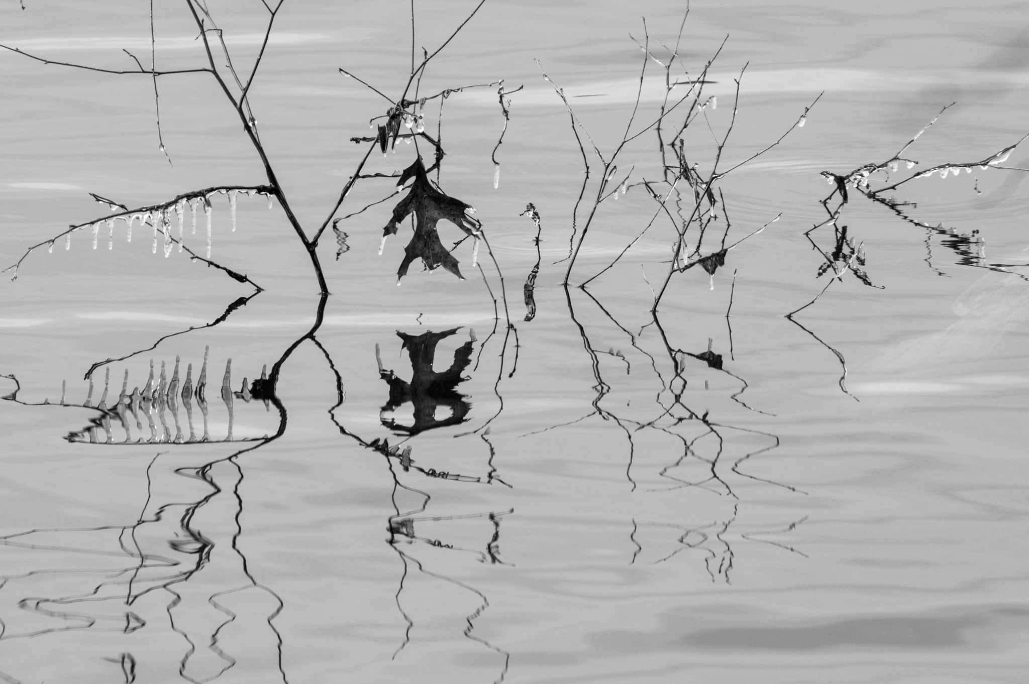 Pentax K-3 sample photo. Leaf and ice reflection abstract photography