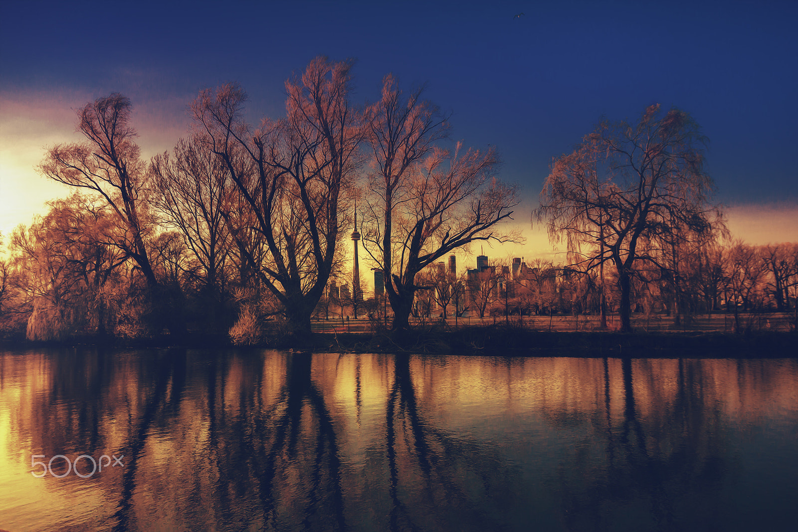 Canon EOS 60D sample photo. Intensity photography