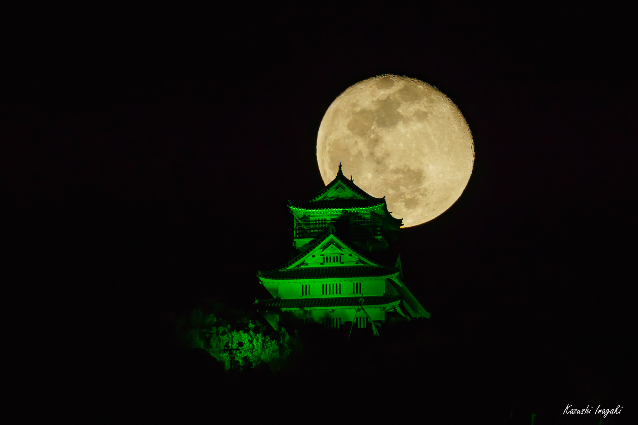 Green Gifu Castle