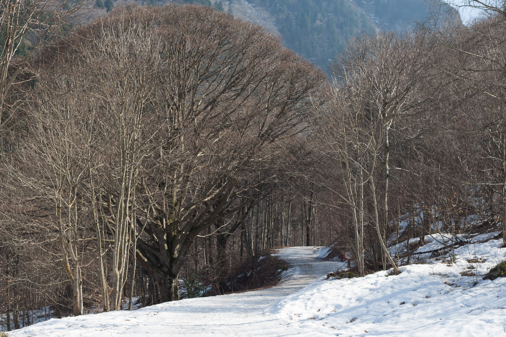 Canon EOS-1D Mark III sample photo. Wow light! photography