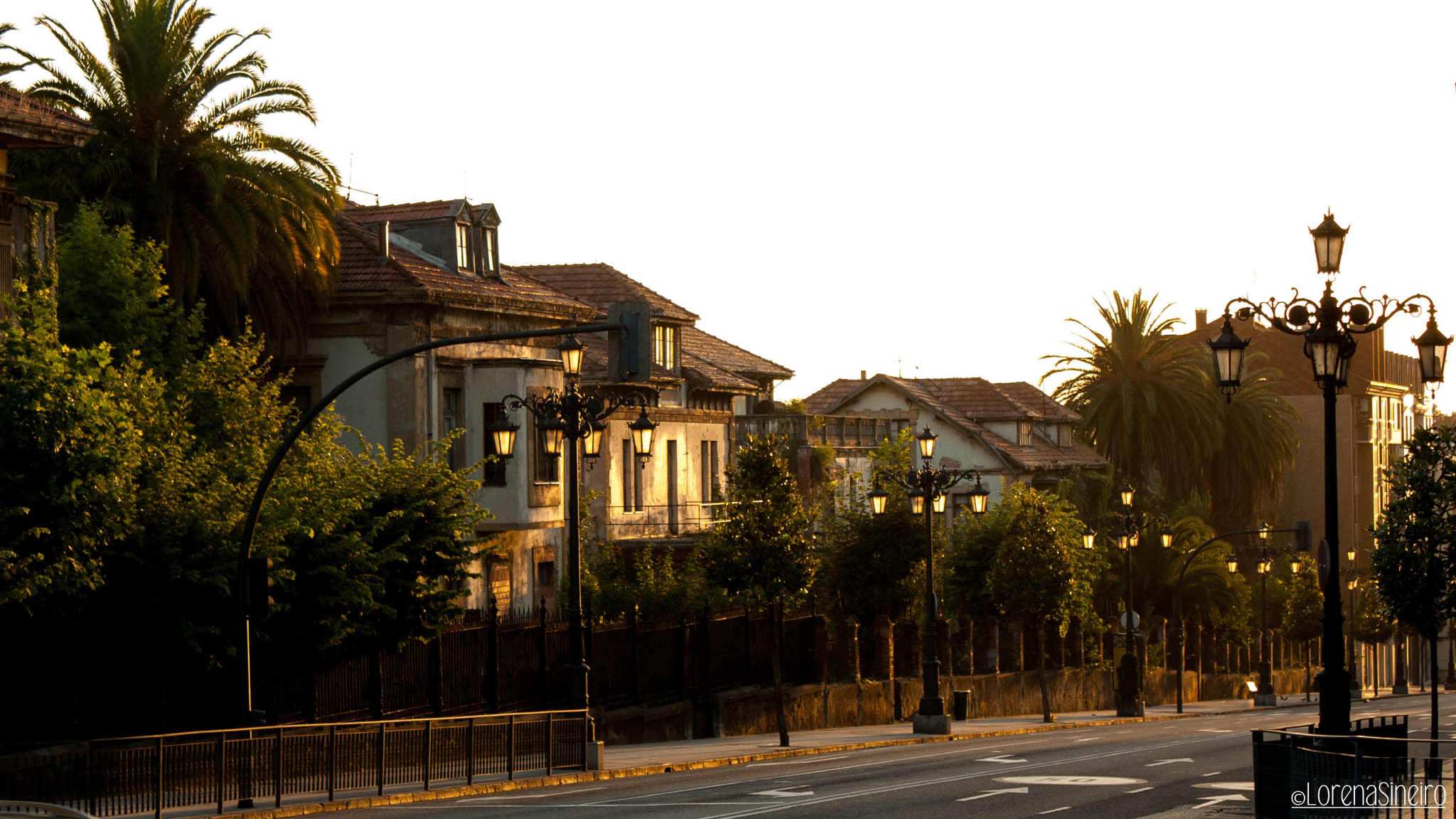 Canon EOS 1000D (EOS Digital Rebel XS / EOS Kiss F) sample photo. Street in the morning photography