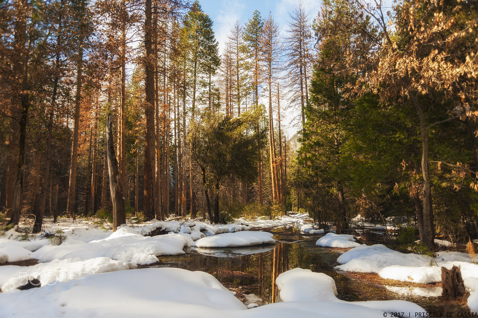 Nikon D700 sample photo. Out of the trail photography