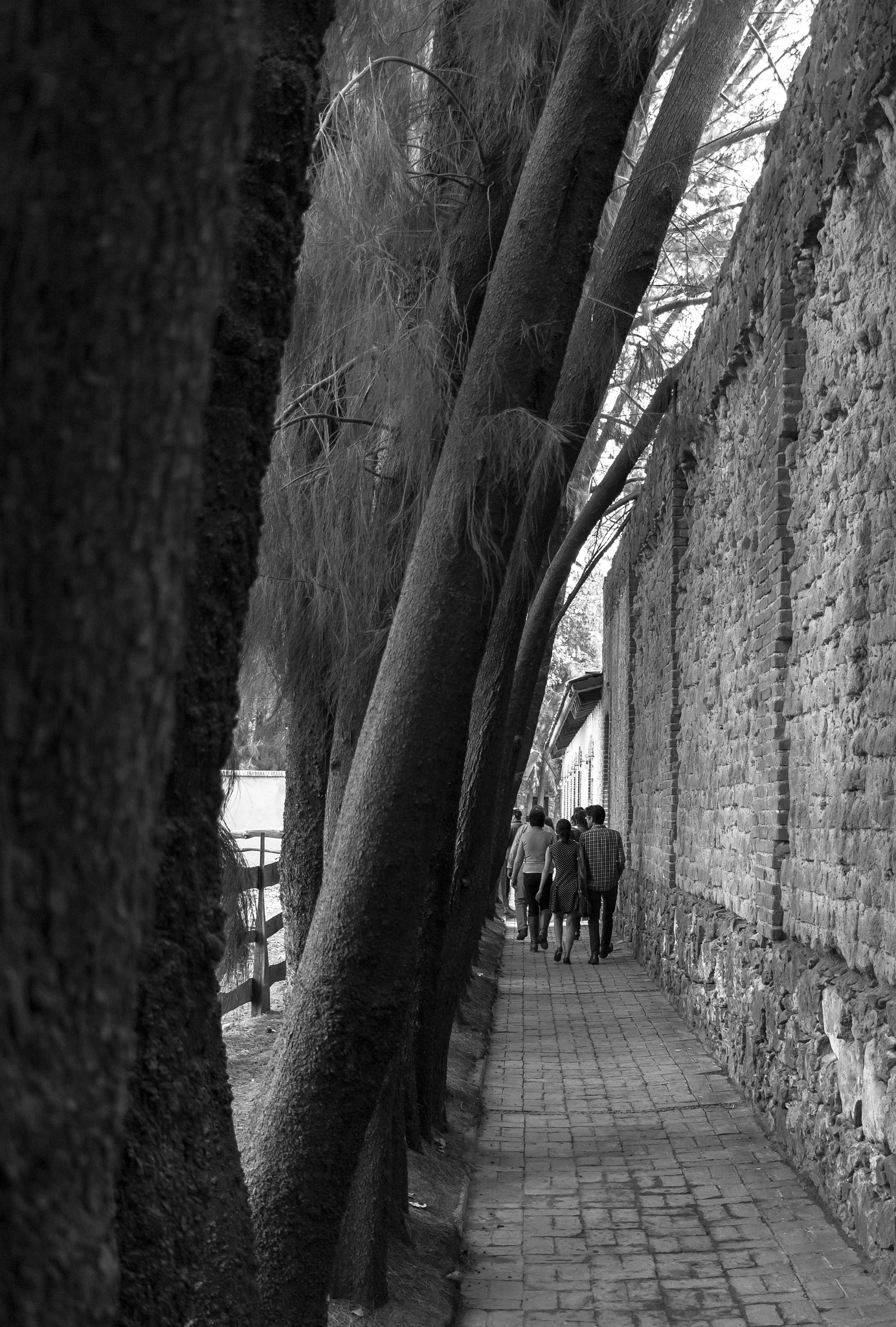 Canon EOS 750D (EOS Rebel T6i / EOS Kiss X8i) sample photo. When path leads you to pursue your dream, make it real so it don't become just a dream. photography