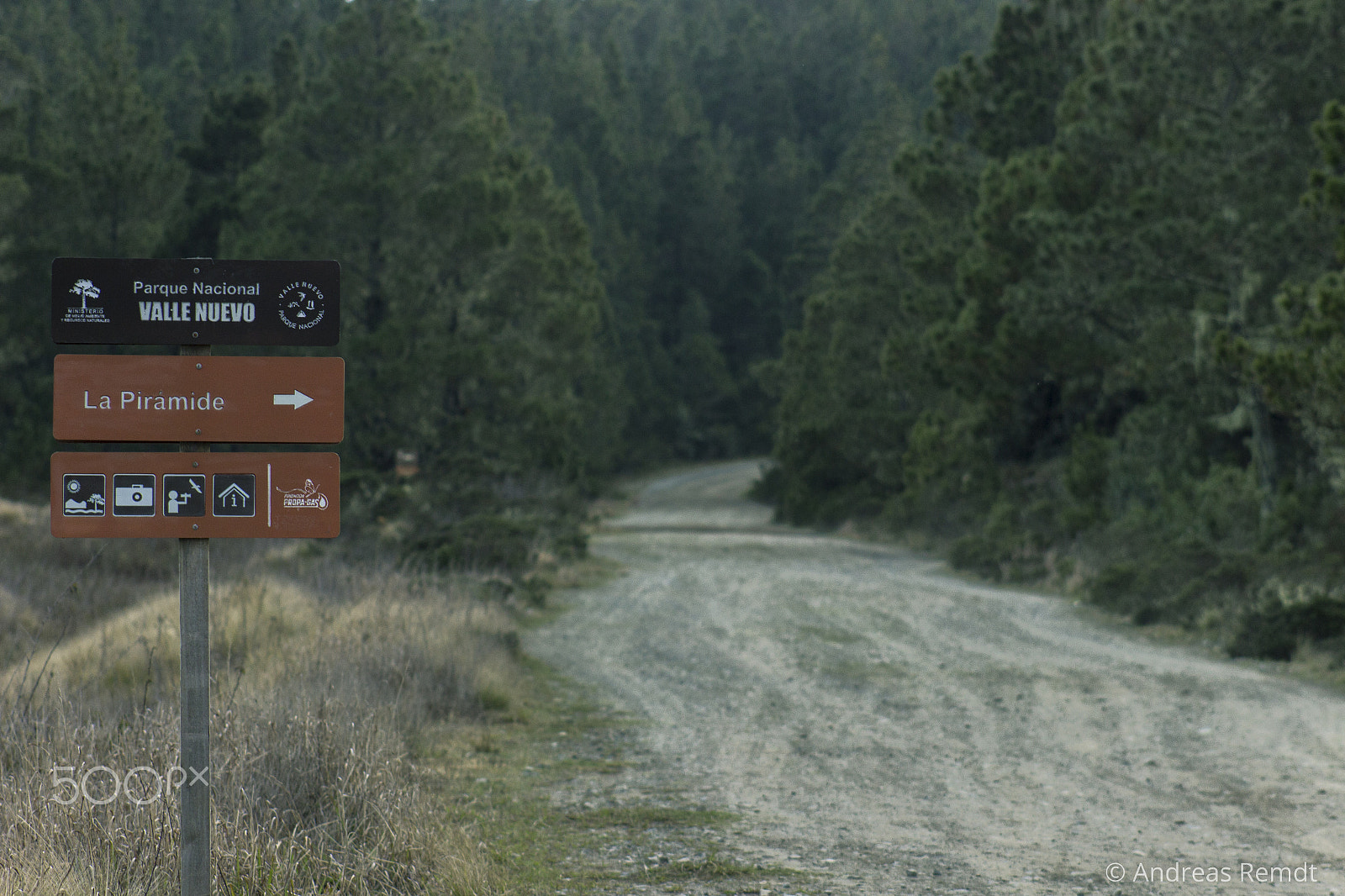 Canon EOS 600D (Rebel EOS T3i / EOS Kiss X5) + EF75-300mm f/4-5.6 sample photo. Road entering a forest in constanza photography