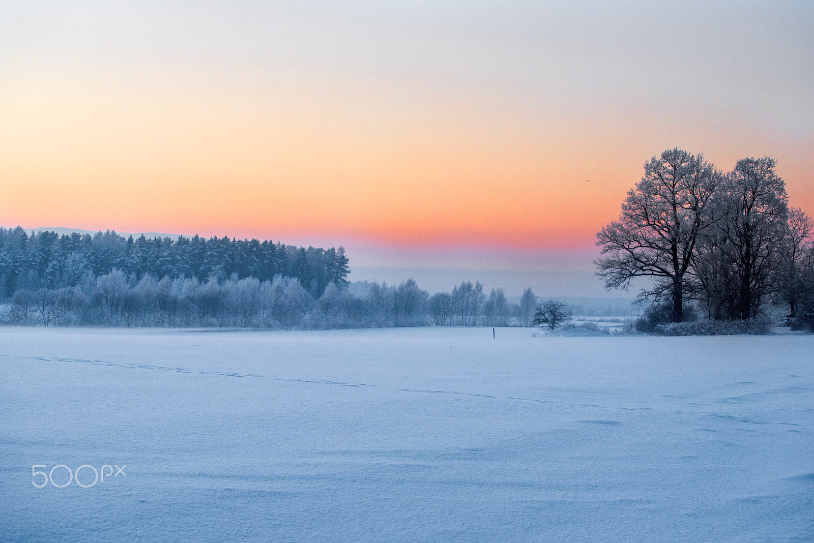 Nikon AF-S Nikkor 70-200mm F4G ED VR sample photo. Cold! photography