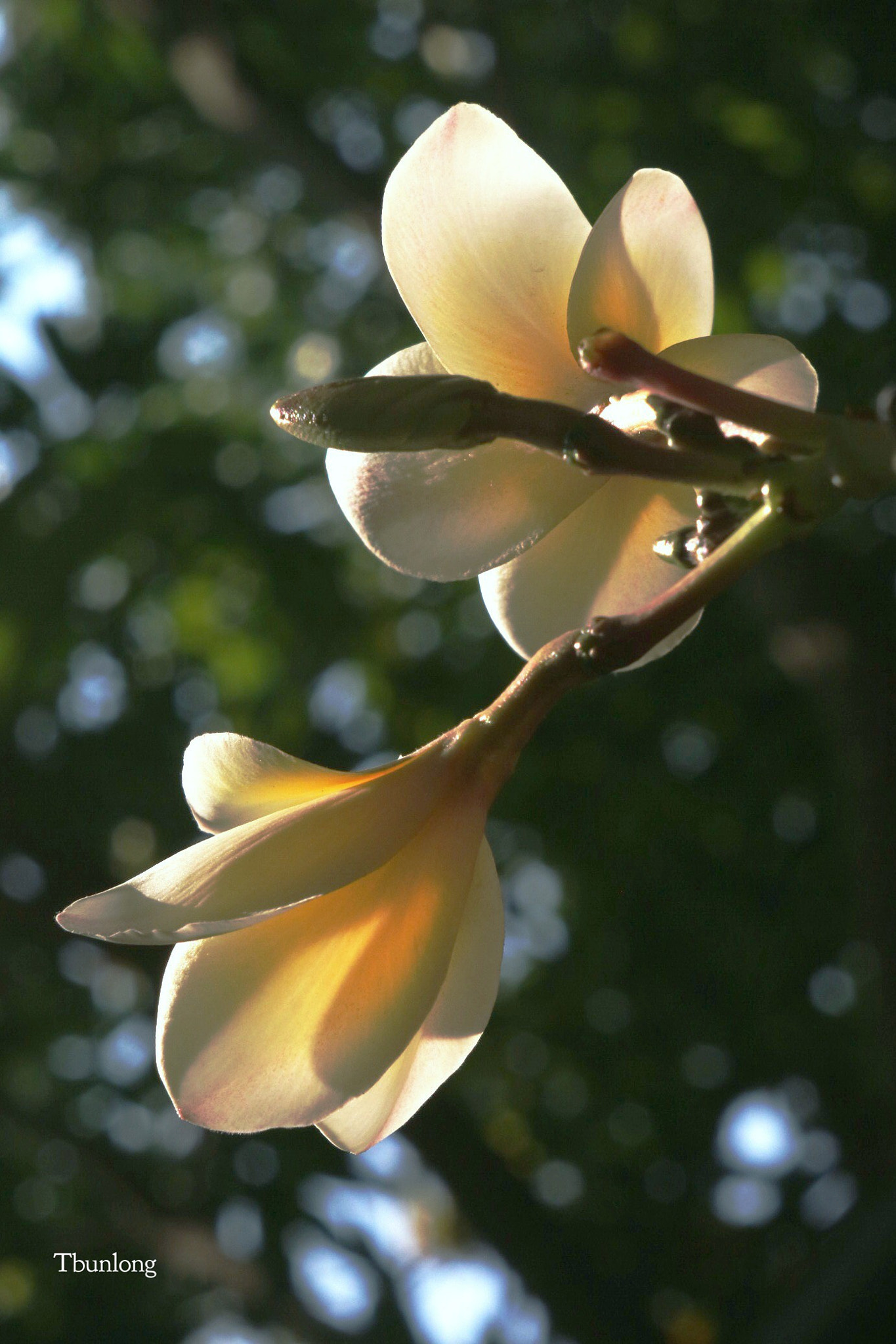 Canon EOS M3 sample photo