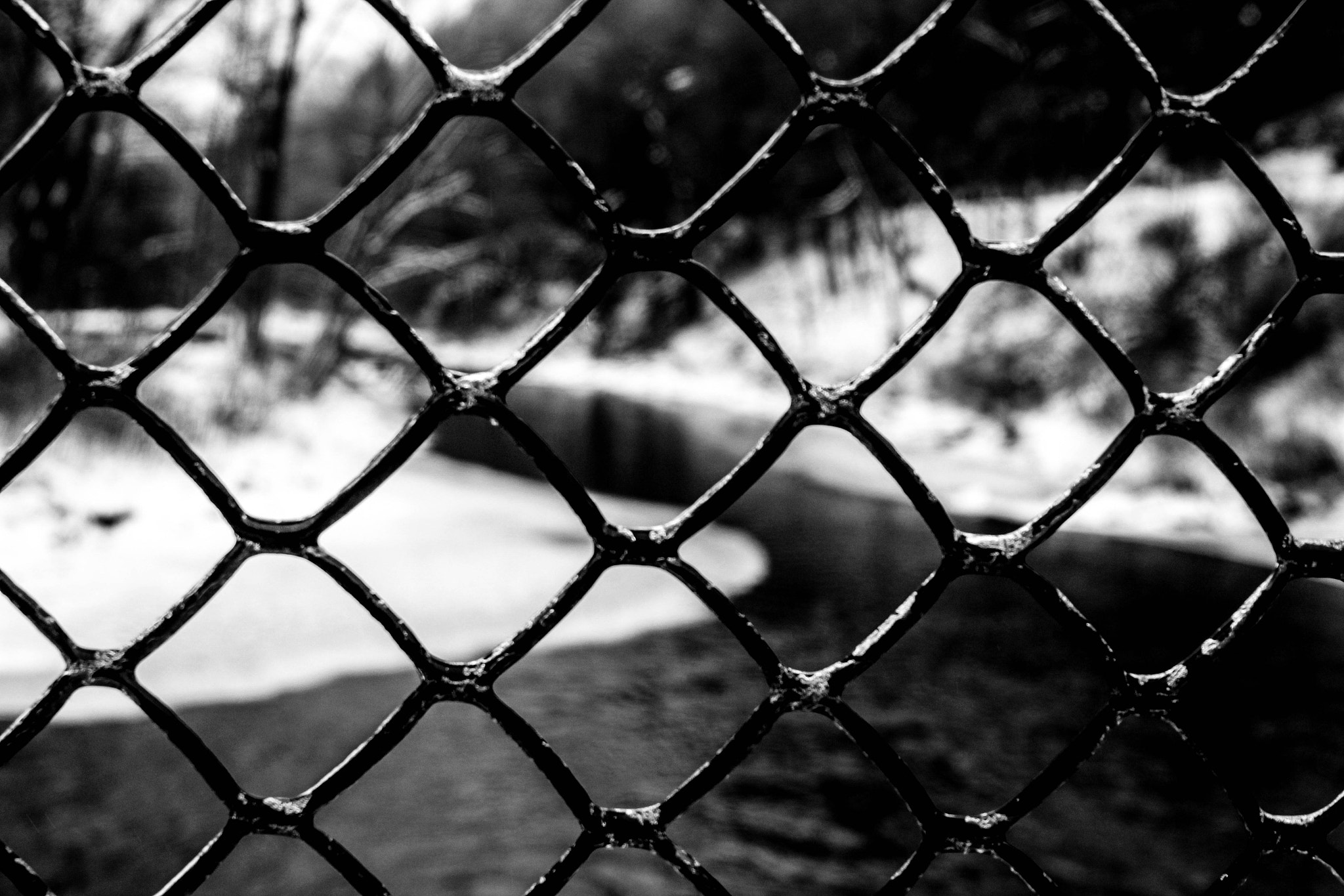 Canon EF 28-135mm F3.5-5.6 IS USM sample photo. Fenced in photography
