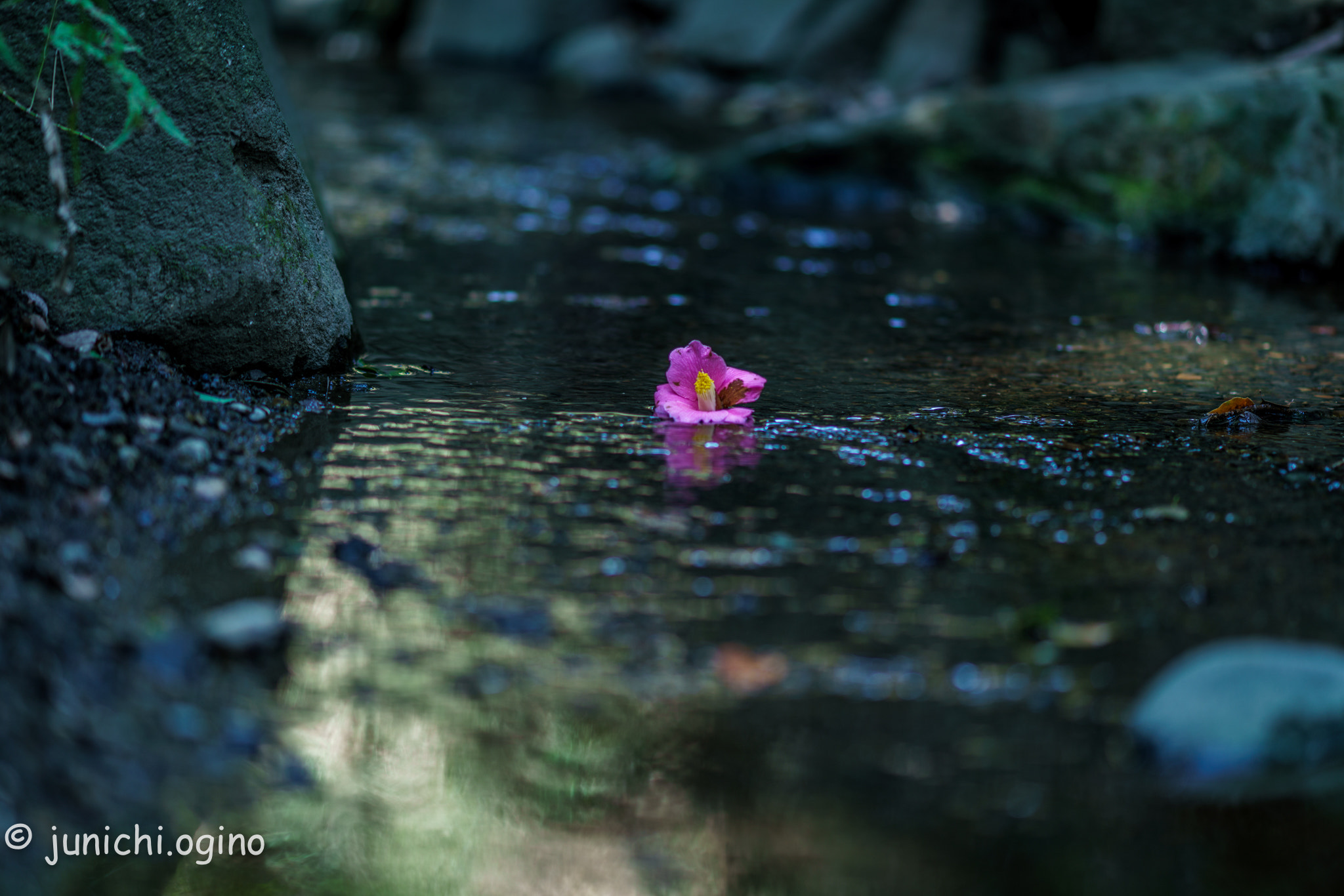 Sony Sonnar T* 135mm F1.8 ZA sample photo. Beauty when leaving photography