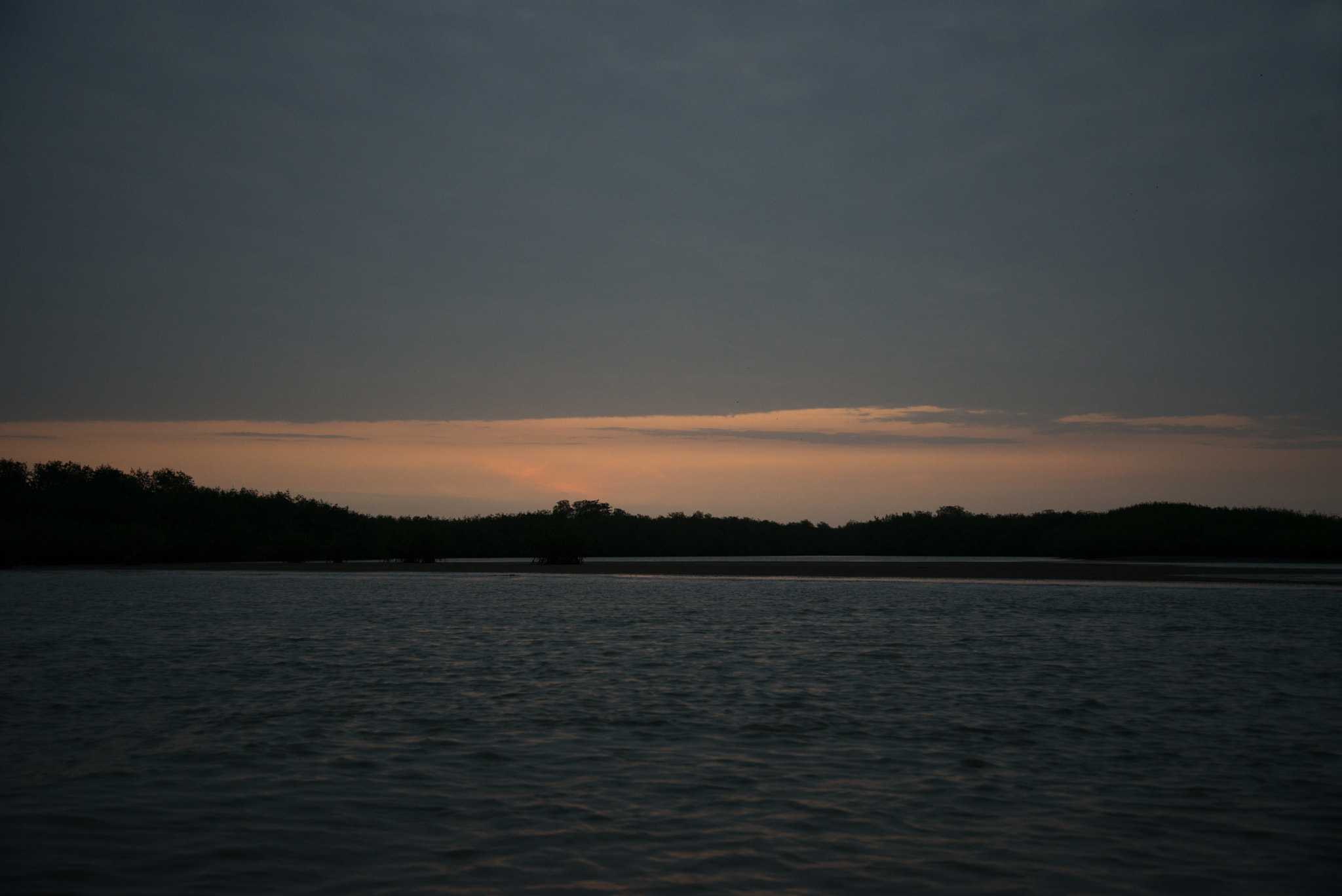 Nikon D800 sample photo. Atardecer en los manglares de tumbes. photography