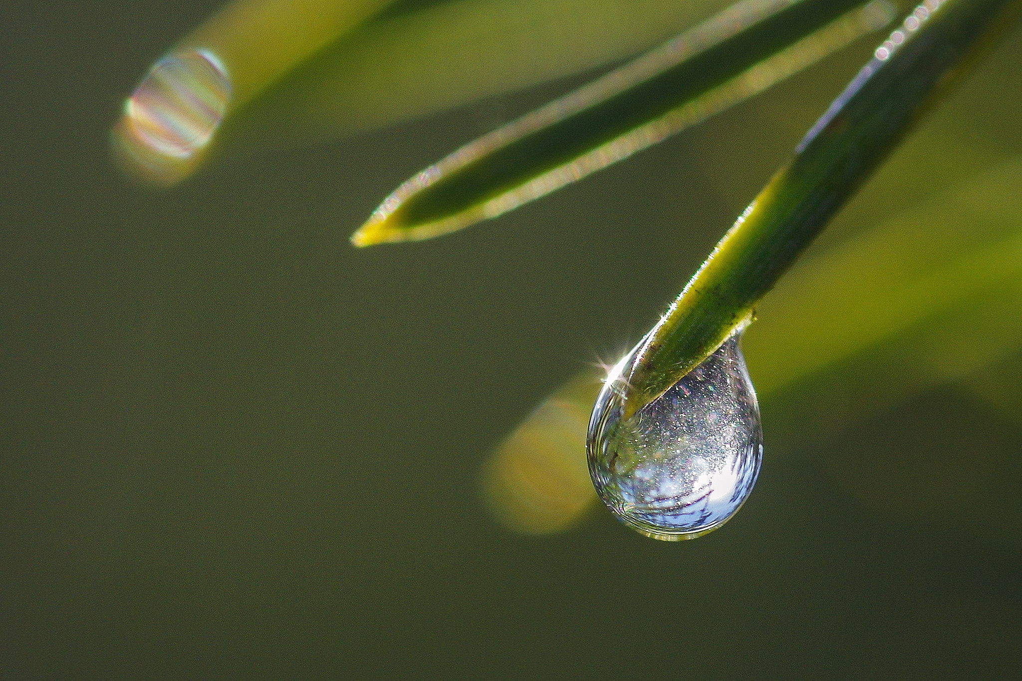 Pentax K-3 sample photo. Drop photography
