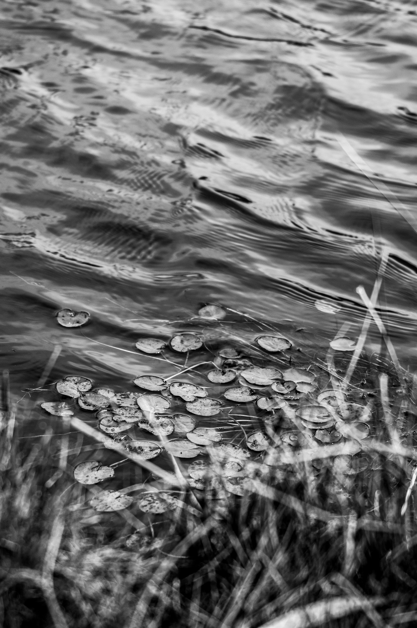Sony 75-300mm F4.5-5.6 sample photo. Lake detail photography