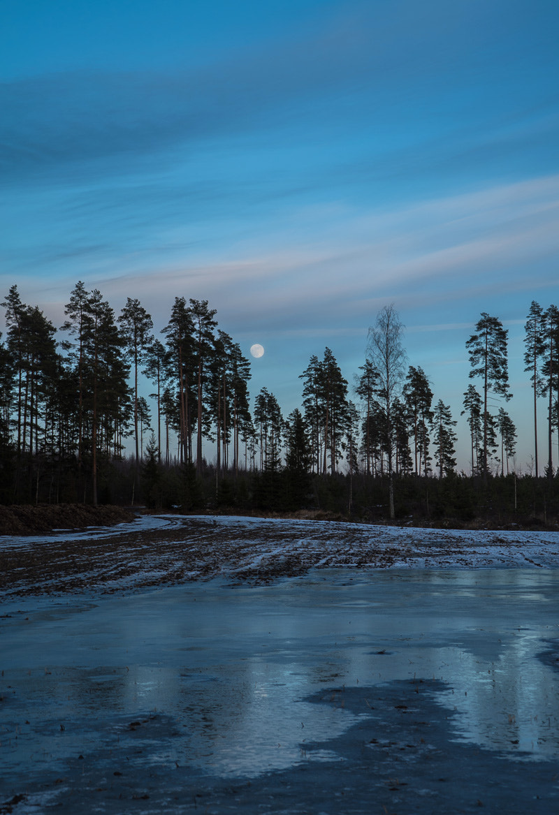 Sony a7S + Sony FE 24-240mm F3.5-6.3 OSS sample photo. Moonfield photography