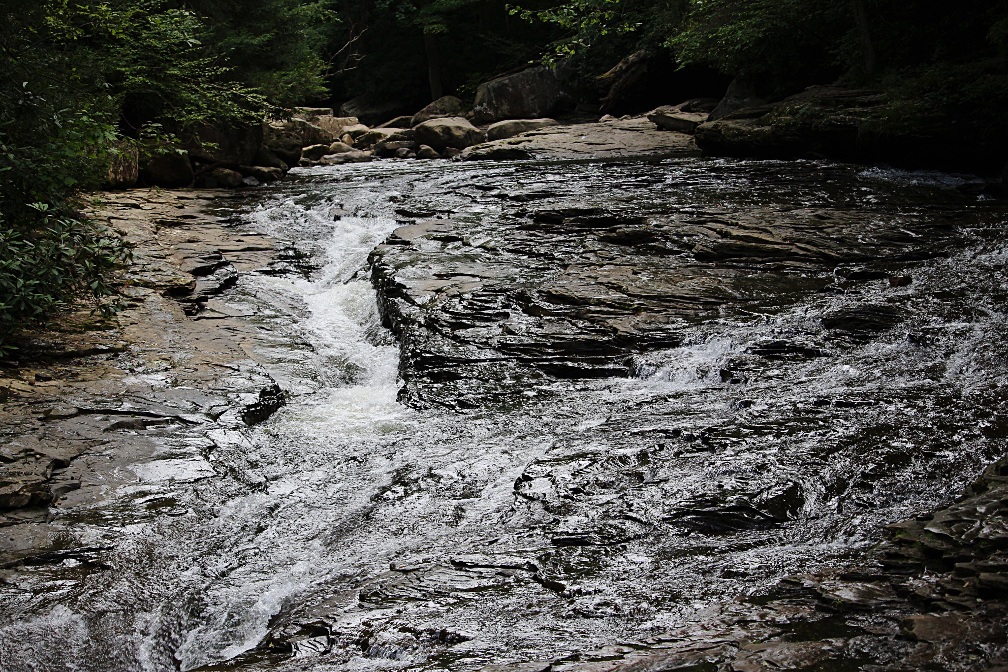 Canon EF-S 55-250mm F4-5.6 IS STM sample photo. This is at ohio pyle photography