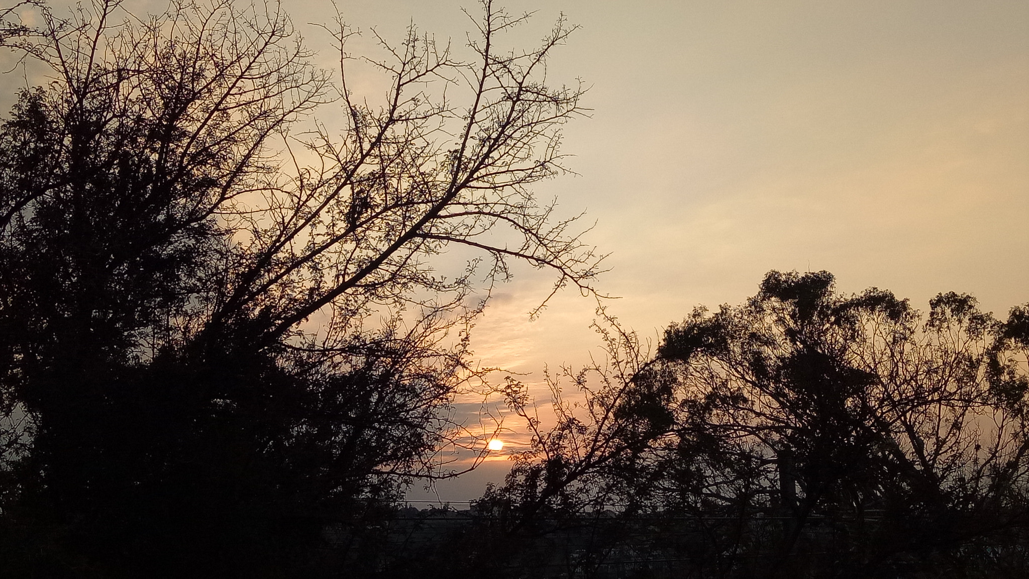 OPPO X9009 sample photo. Sunset photography