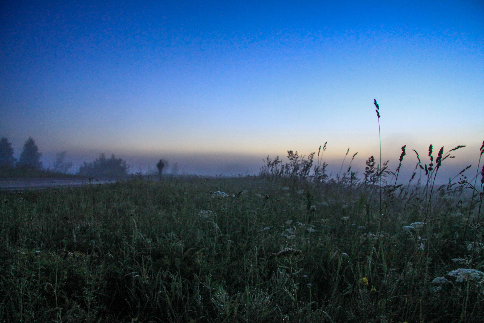 Canon EF-S 17-85mm F4-5.6 IS USM sample photo. Fog photography