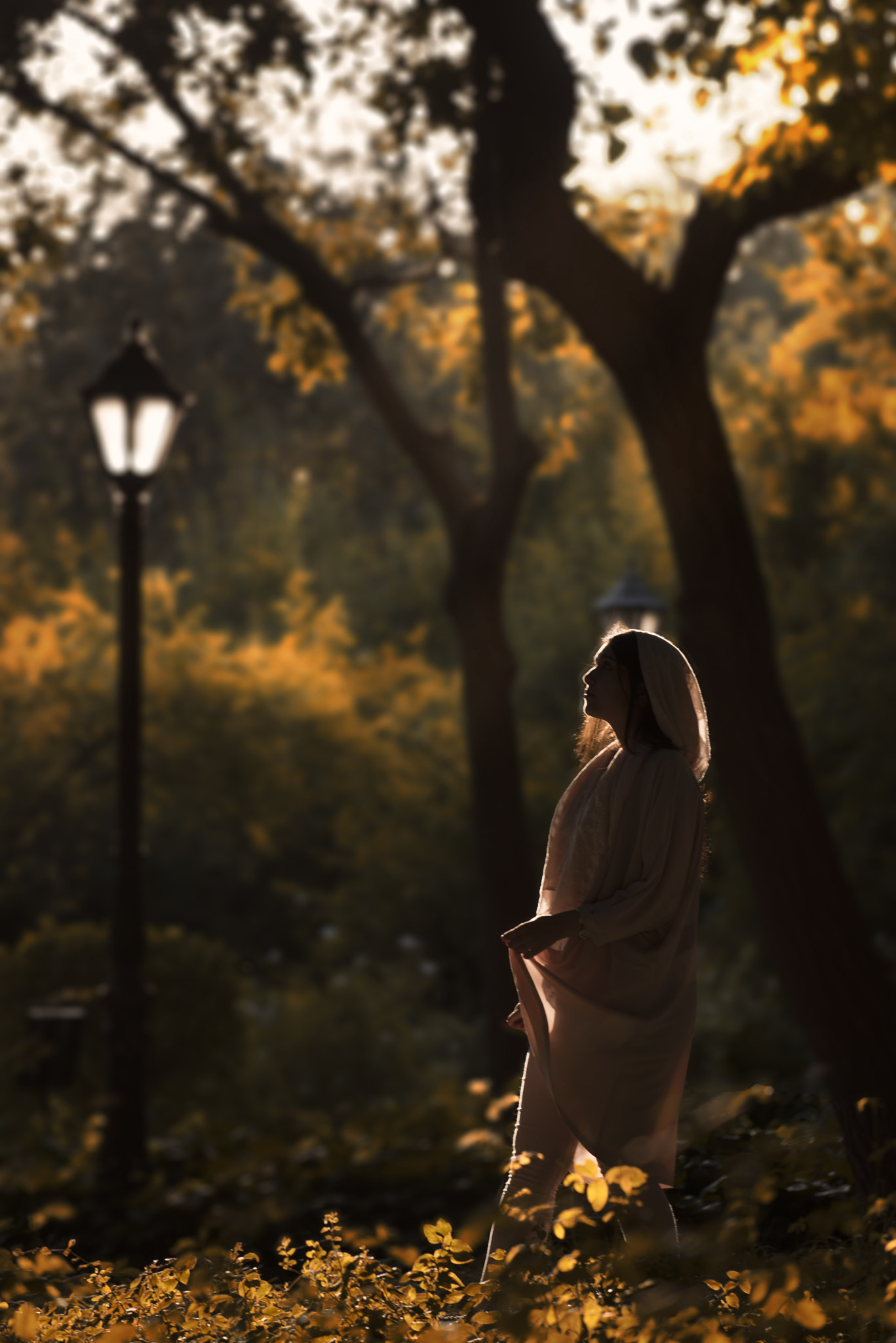 Nikon AF-S Nikkor 70-200mm F4G ED VR sample photo