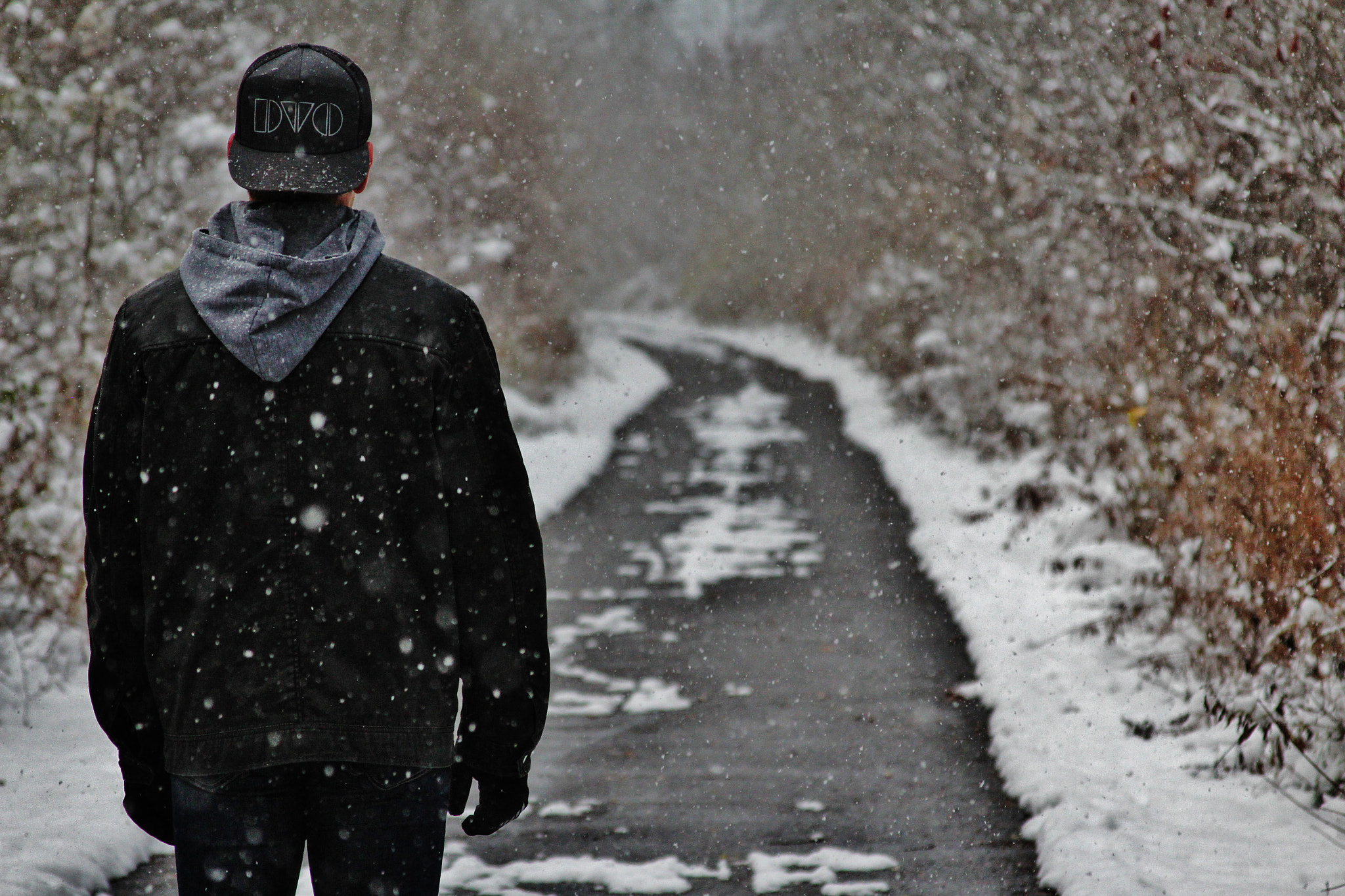 Canon EF 28-135mm F3.5-5.6 IS USM sample photo. The road less traveled photography