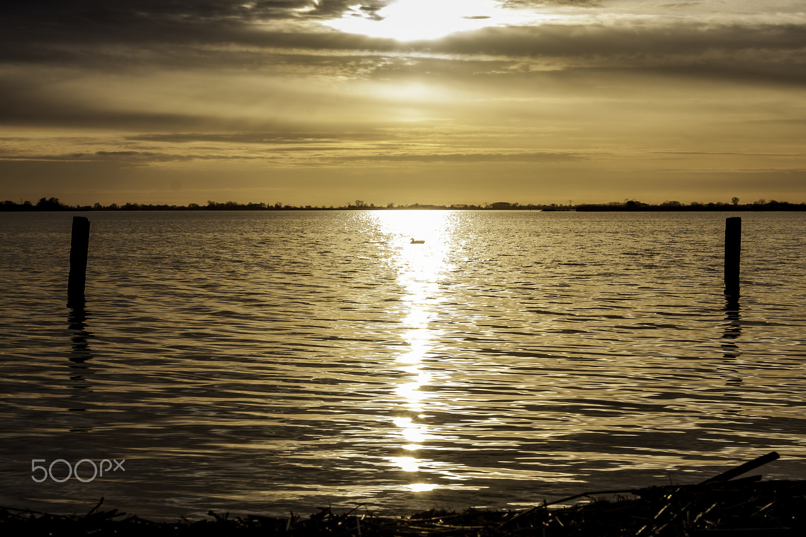 Canon EOS 40D + Canon EF 24-105mm F4L IS USM sample photo. Schildmeer 3 photography