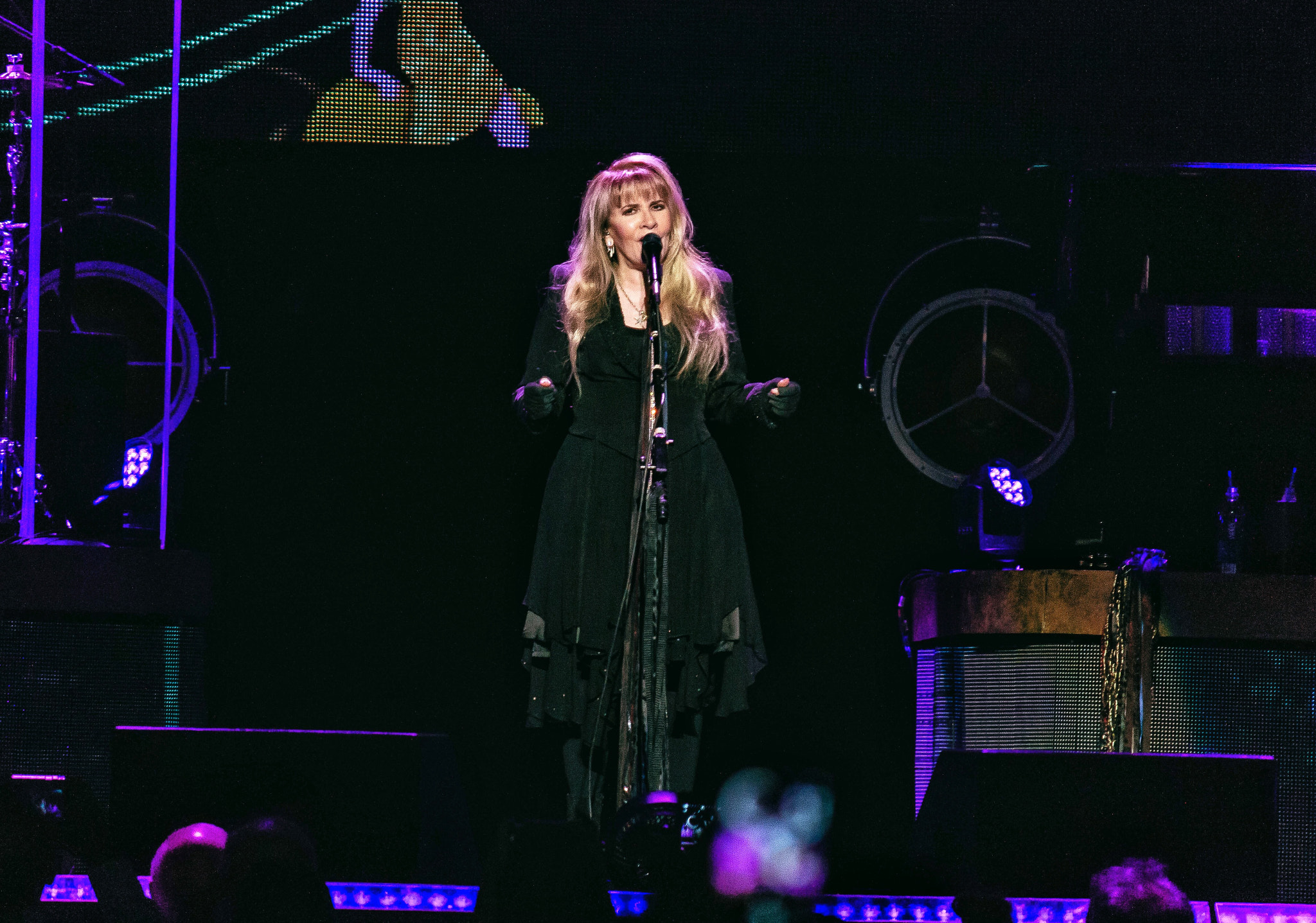 Canon EF-S 55-250mm F4-5.6 IS sample photo. Stevie nicks. photography