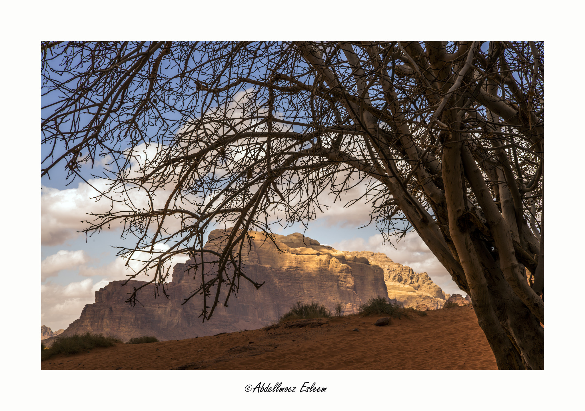 Nikon AF-S Nikkor 24-70mm F2.8E ED VR sample photo. Wadi rum photography
