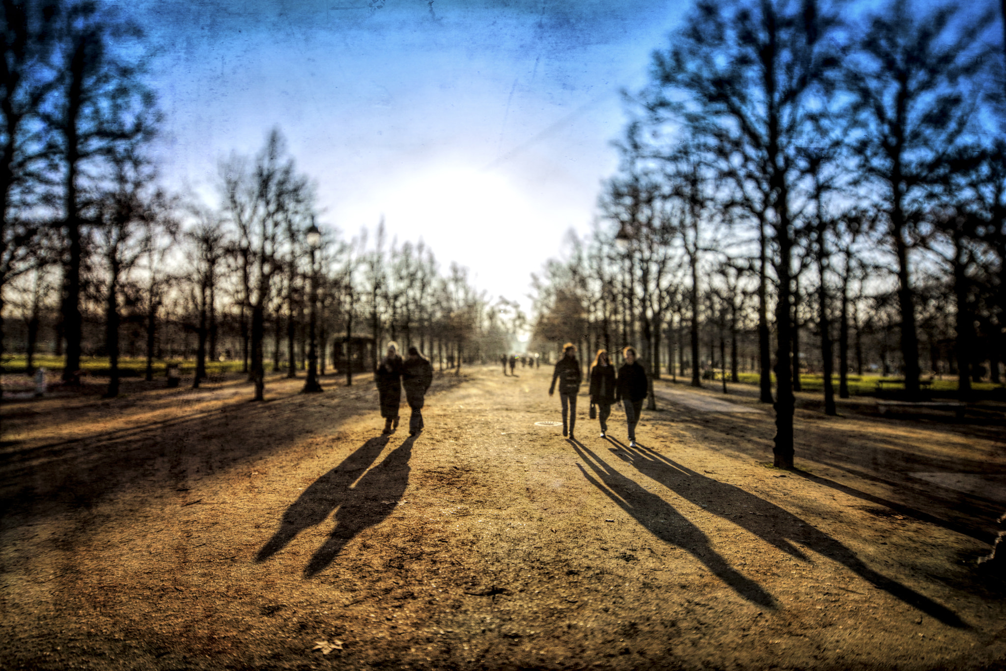 Canon TS-E 17mm F4L Tilt-Shift sample photo. Jardin des tuileries (tuileries garden) in winter, paris, france. tilted lens used for shallower... photography