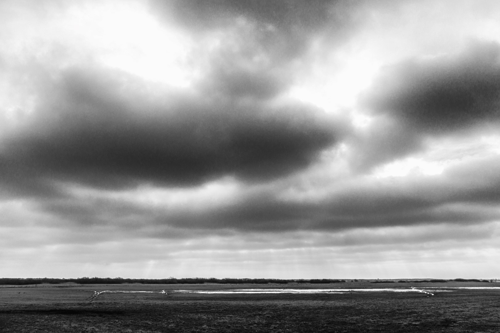 Canon EF-S 18-200mm F3.5-5.6 IS sample photo. Wetlands photography