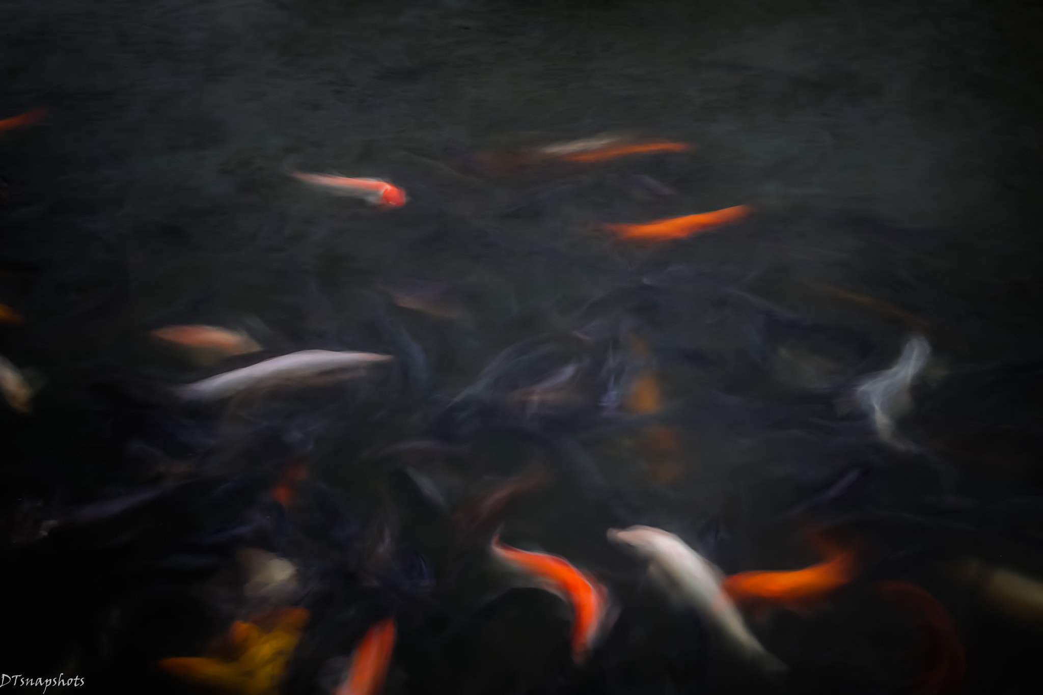 Canon EF 24-70mm F2.8L II USM sample photo. Frozen time motion photography
