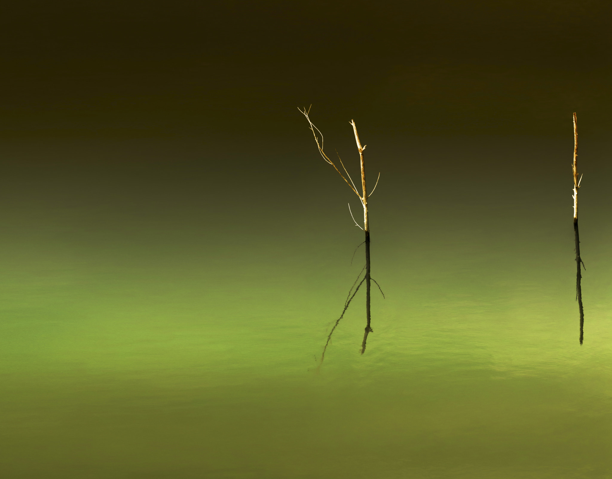 Canon EOS 60D sample photo. Minimalismo photography
