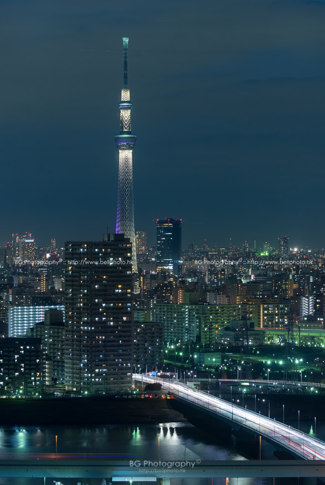 Canon EF-S 10-22mm F3.5-4.5 USM sample photo. Tokyo cityscape. photography
