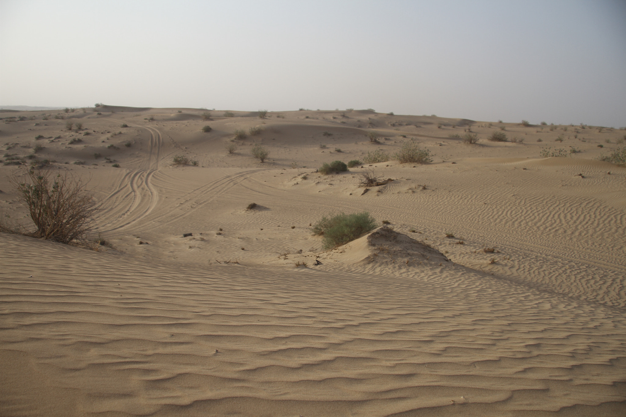 Canon EOS 7D + Canon EF-S 17-85mm F4-5.6 IS USM sample photo. Middle eastern desert photography