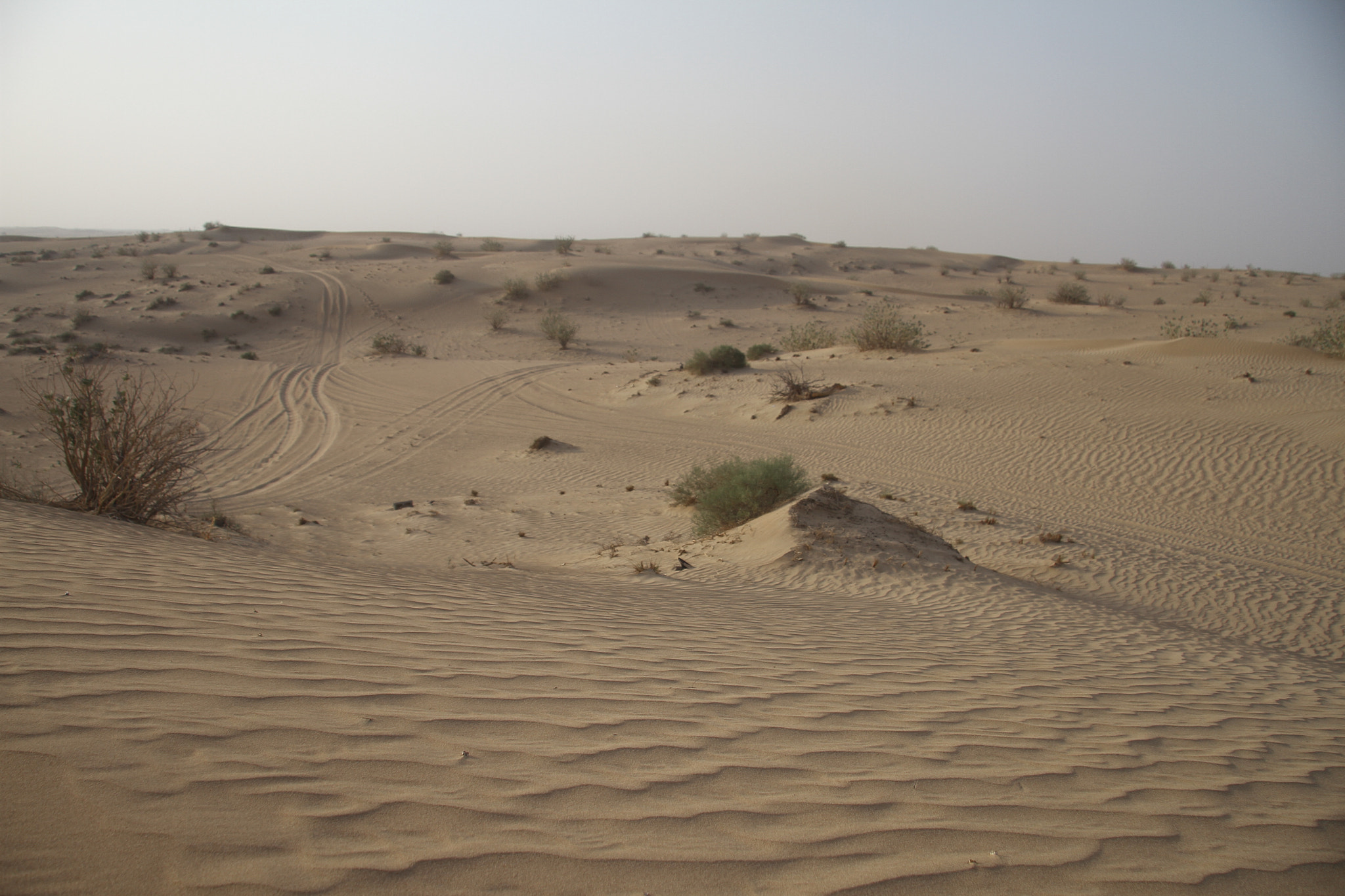 Canon EF-S 17-85mm F4-5.6 IS USM sample photo. Middle eastern desert photography